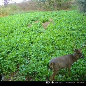 Muscoda, Wisconsin, 53573, United States, 3 Bedrooms Bedrooms, ,3 BathroomsBathrooms,Residential,For Sale,1990387