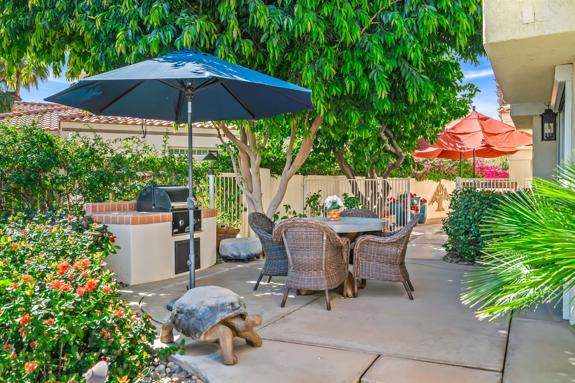  where  desert light meets the water’s edge - 物件實景