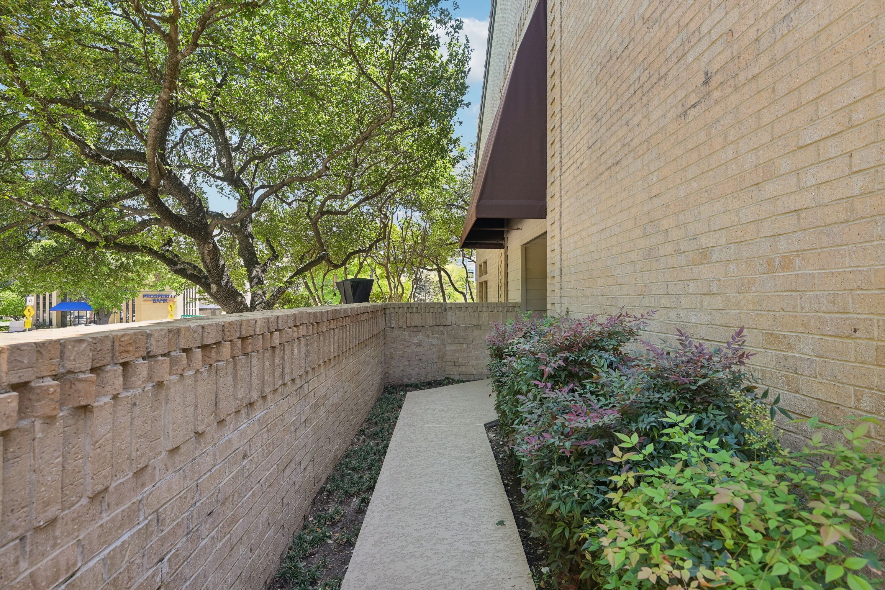  Treehouse Vibes in SoHiP - 物件實景