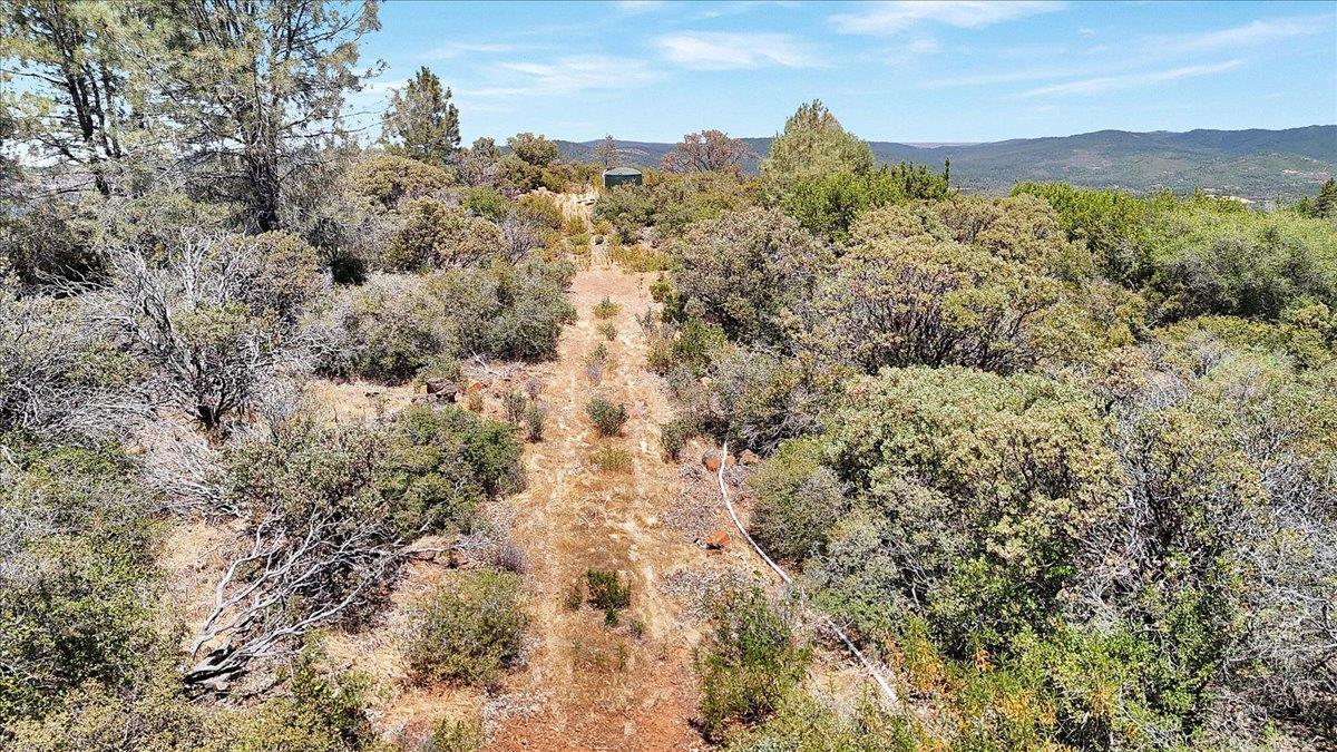 Oregon House, California, 95962, United States, ,Land,For Sale,1975767