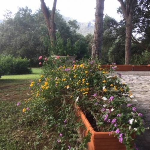 Via Tamerice, Sabaudia, Latina, 04016, IT, 5 Bedrooms Bedrooms, ,4 BathroomsBathrooms,Residential,For Sale,Via Tamerice,1611092