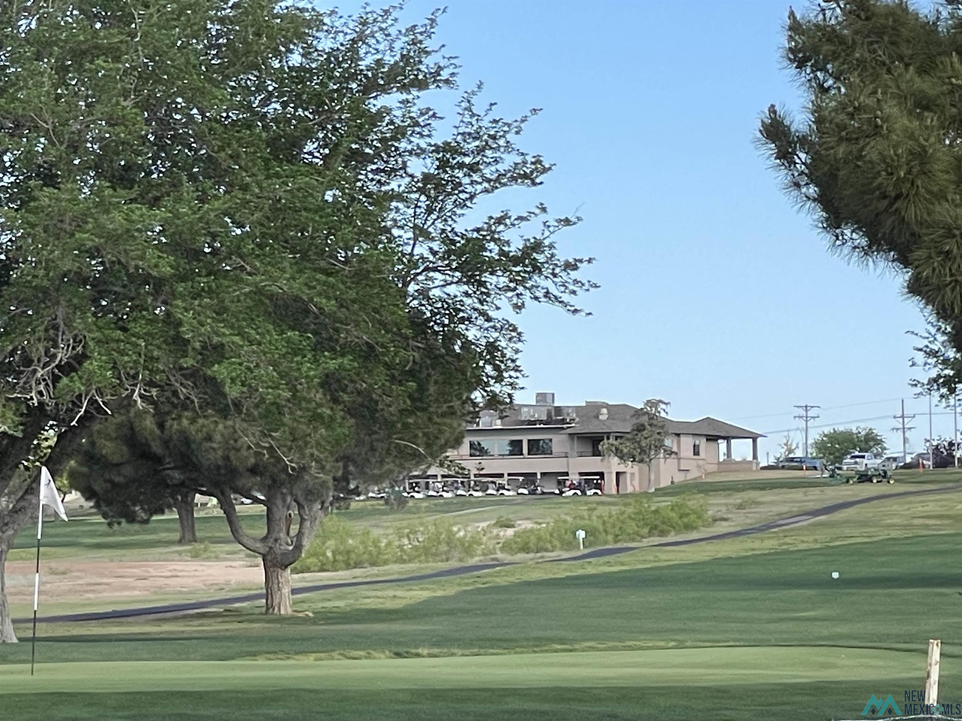 Artesia, New Mexico, 88210, United States, ,Land,For Sale,1978957