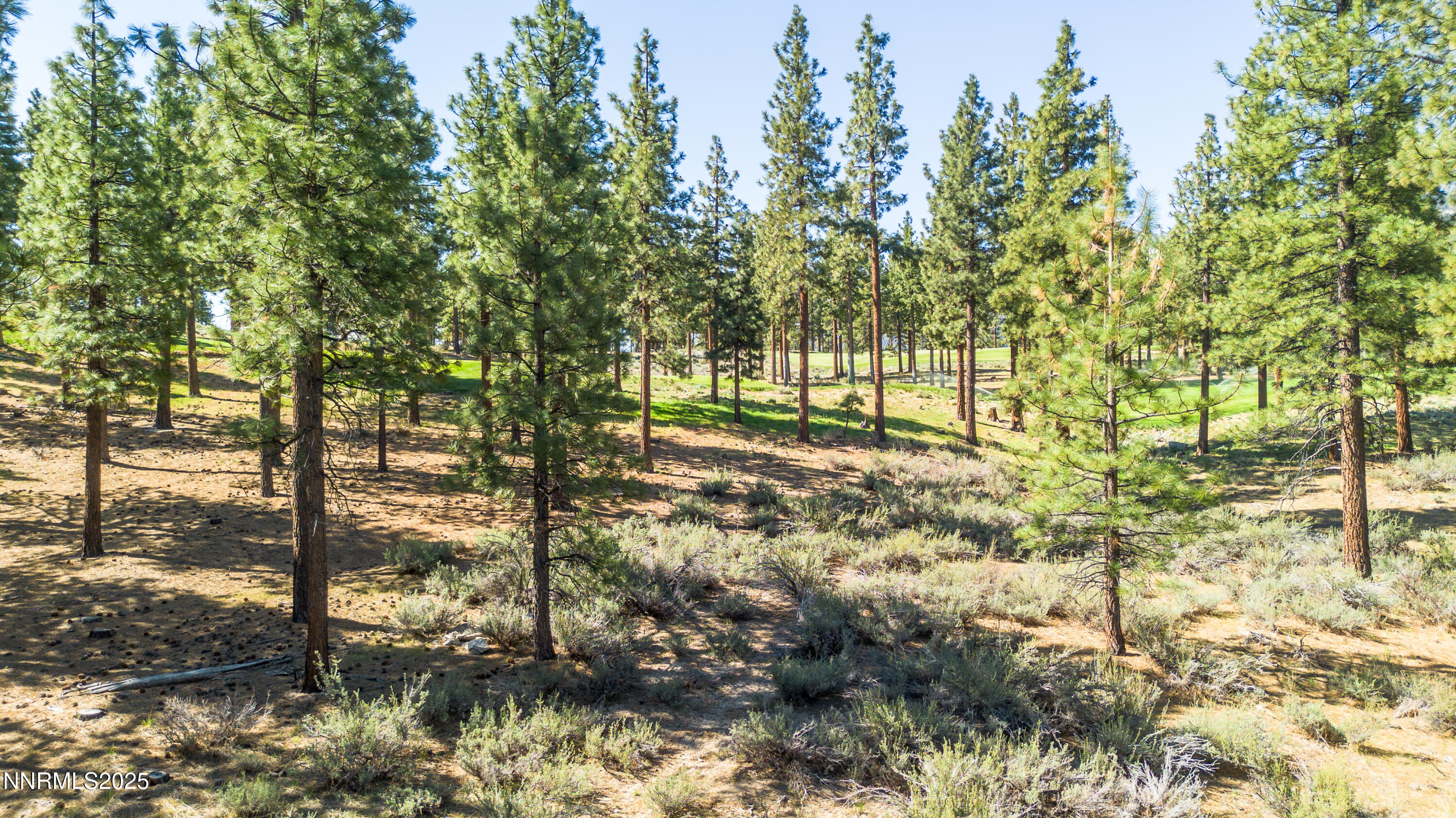 Carson City, Nevada, 89705, United States, ,Land,For Sale,1846834