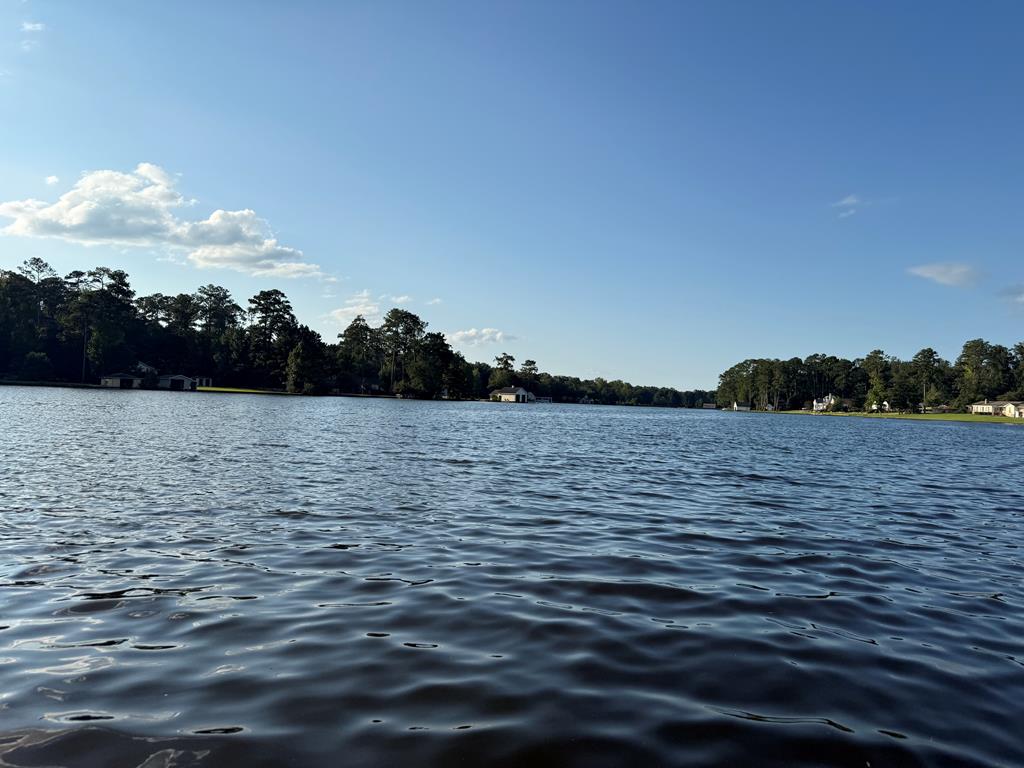 Americus, Georgia, 31719, United States, 4 Bedrooms Bedrooms, ,3 BathroomsBathrooms,Residential,For Sale,1982265