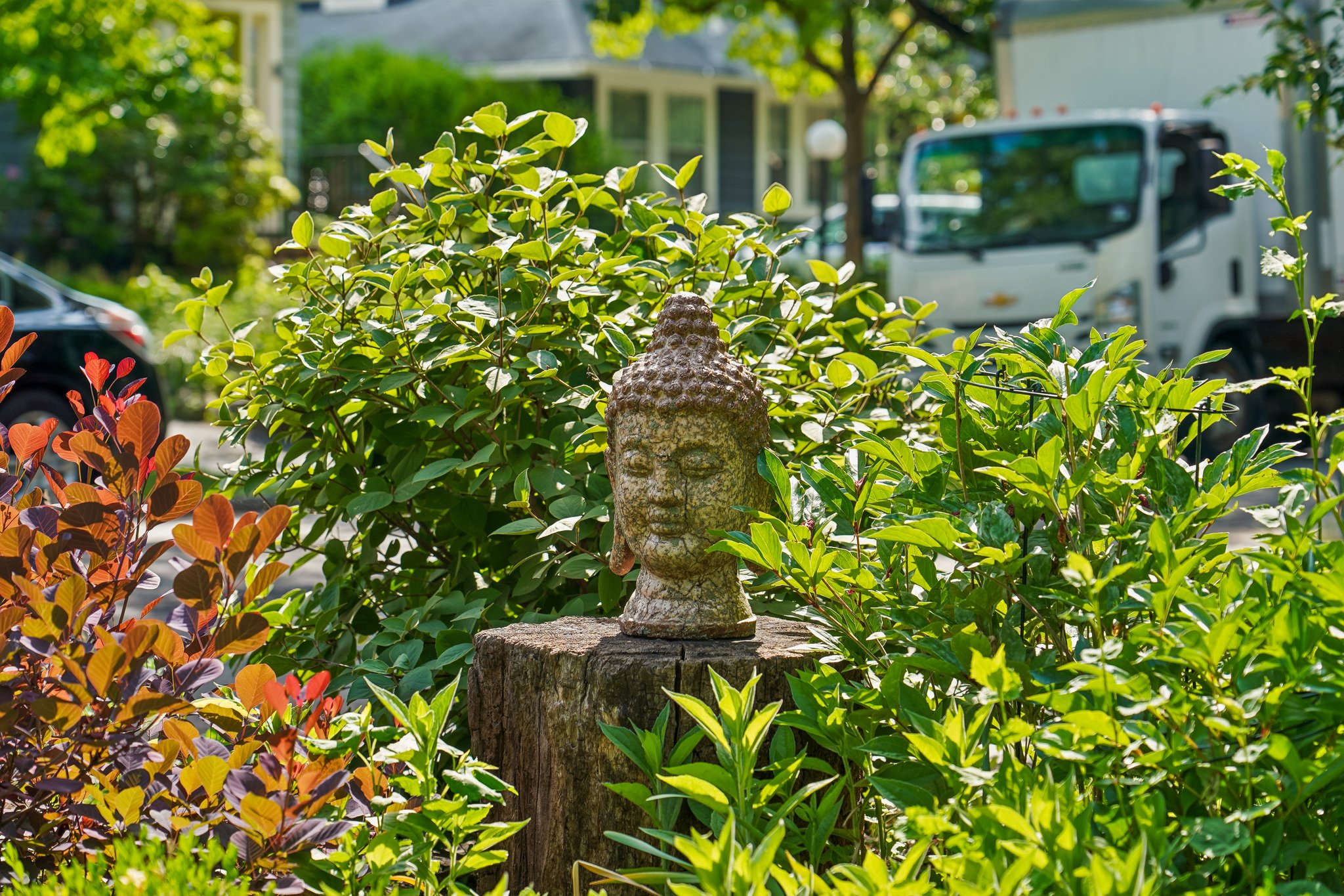  20 Euclid Place, Montclair, NJ 07042 - 物件實景