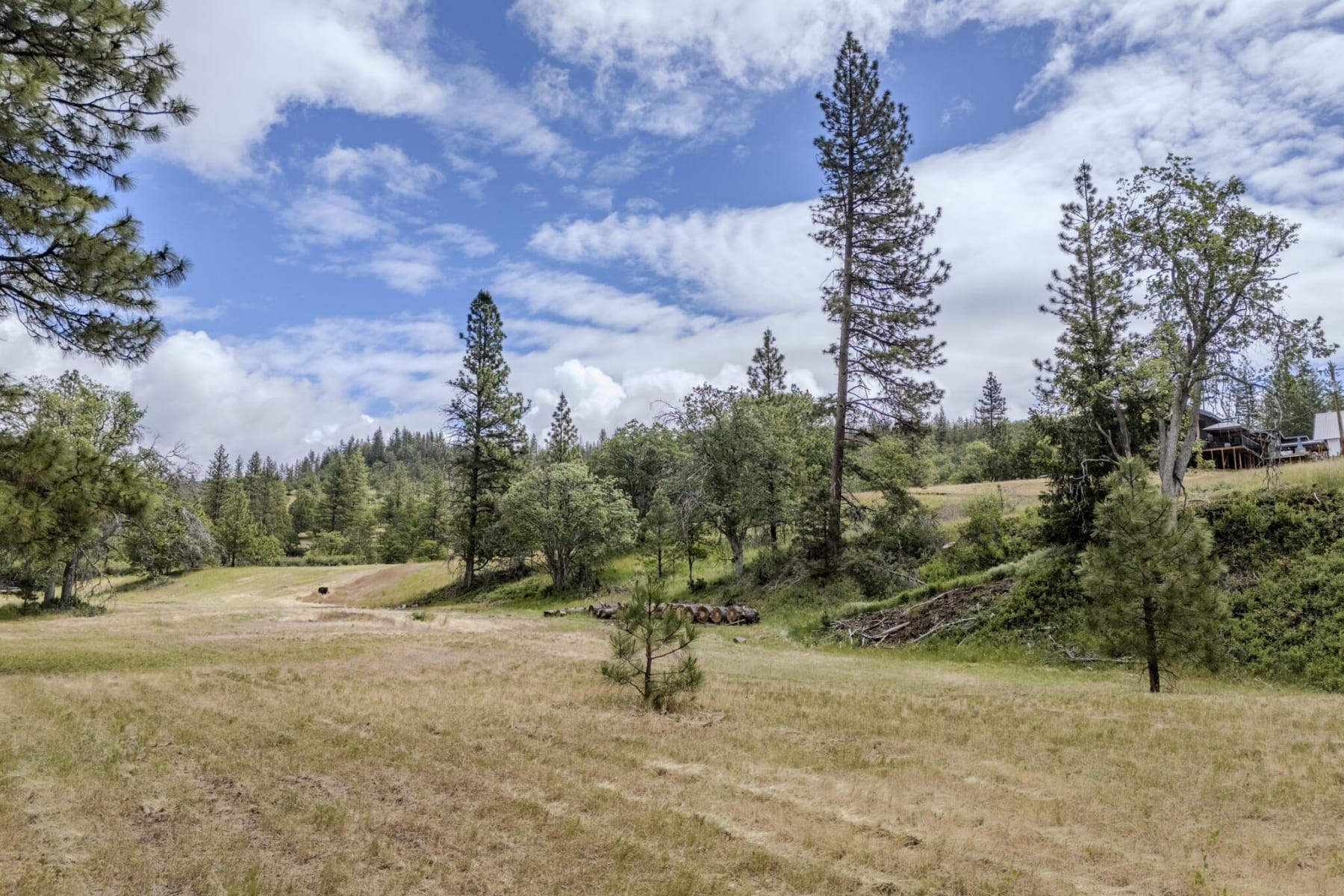  1969 Colestin Road Ashland, OR 97520 - 物件實景