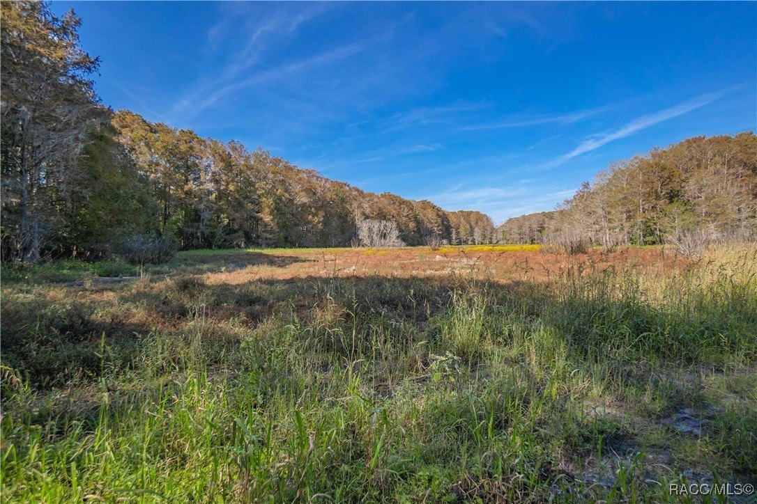 Inverness, Florida, 34450, United States, 4 Bedrooms Bedrooms, ,7 BathroomsBathrooms,Residential,For Sale,2005409