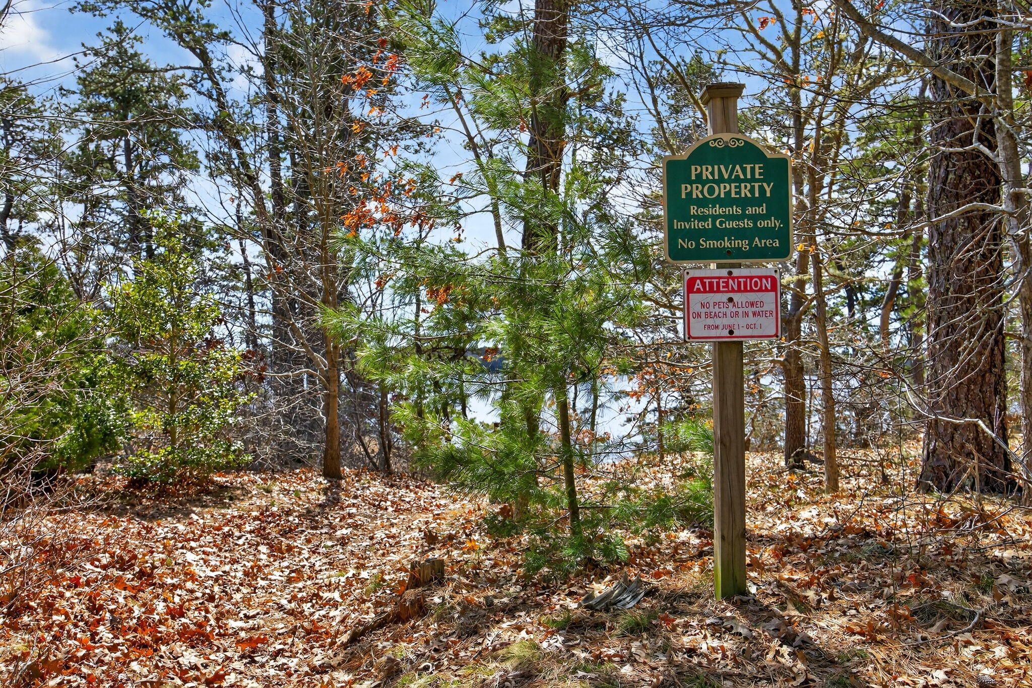  186 Canoe Pond Drive, Brewster, MA, 02631 - 物件實景