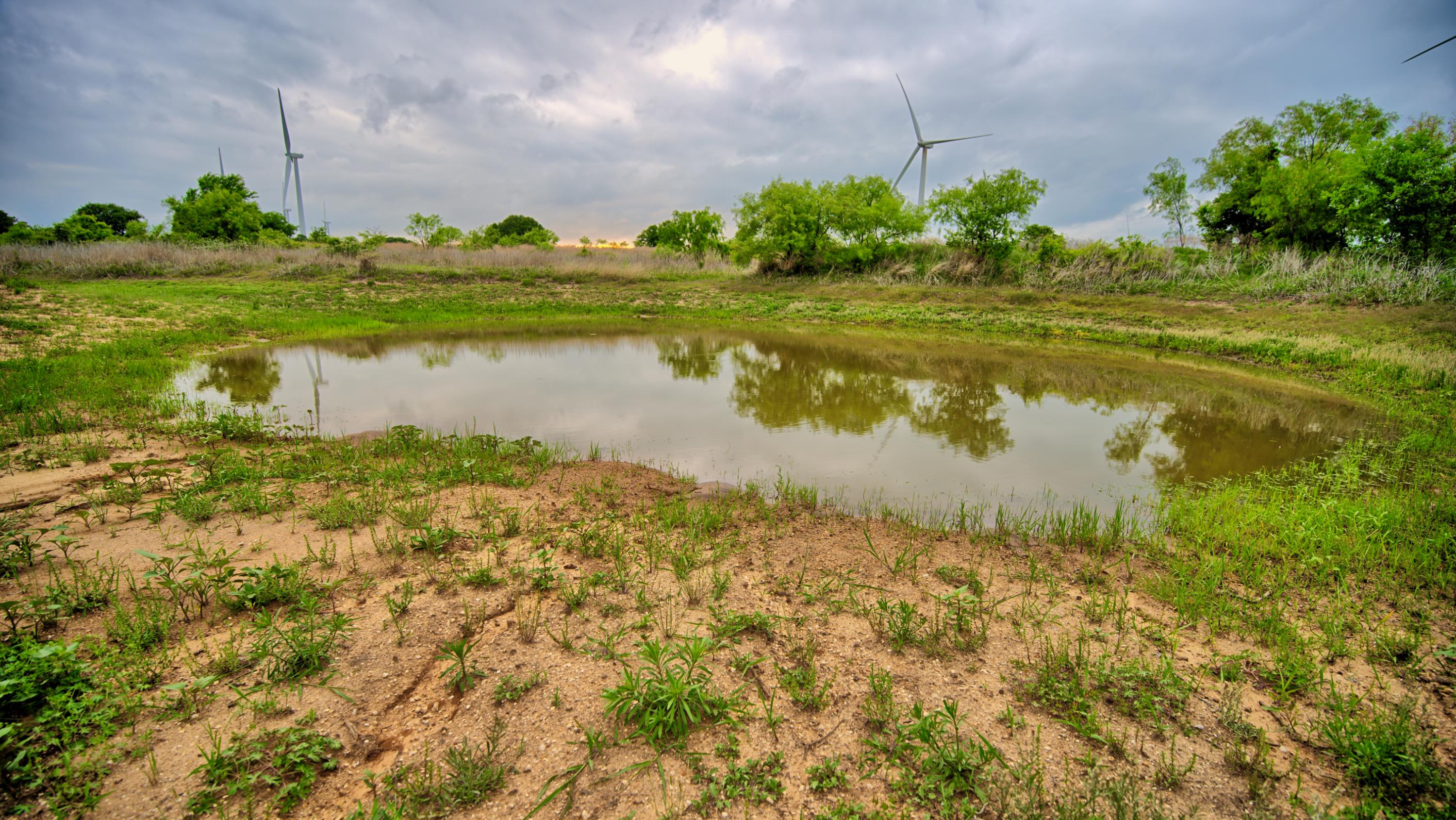  95 Acres in Clay County - 物件實景