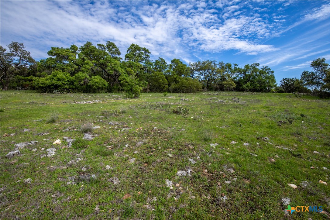 San Marcos, Texas, 78666, United States, ,Land,For Sale,1990898
