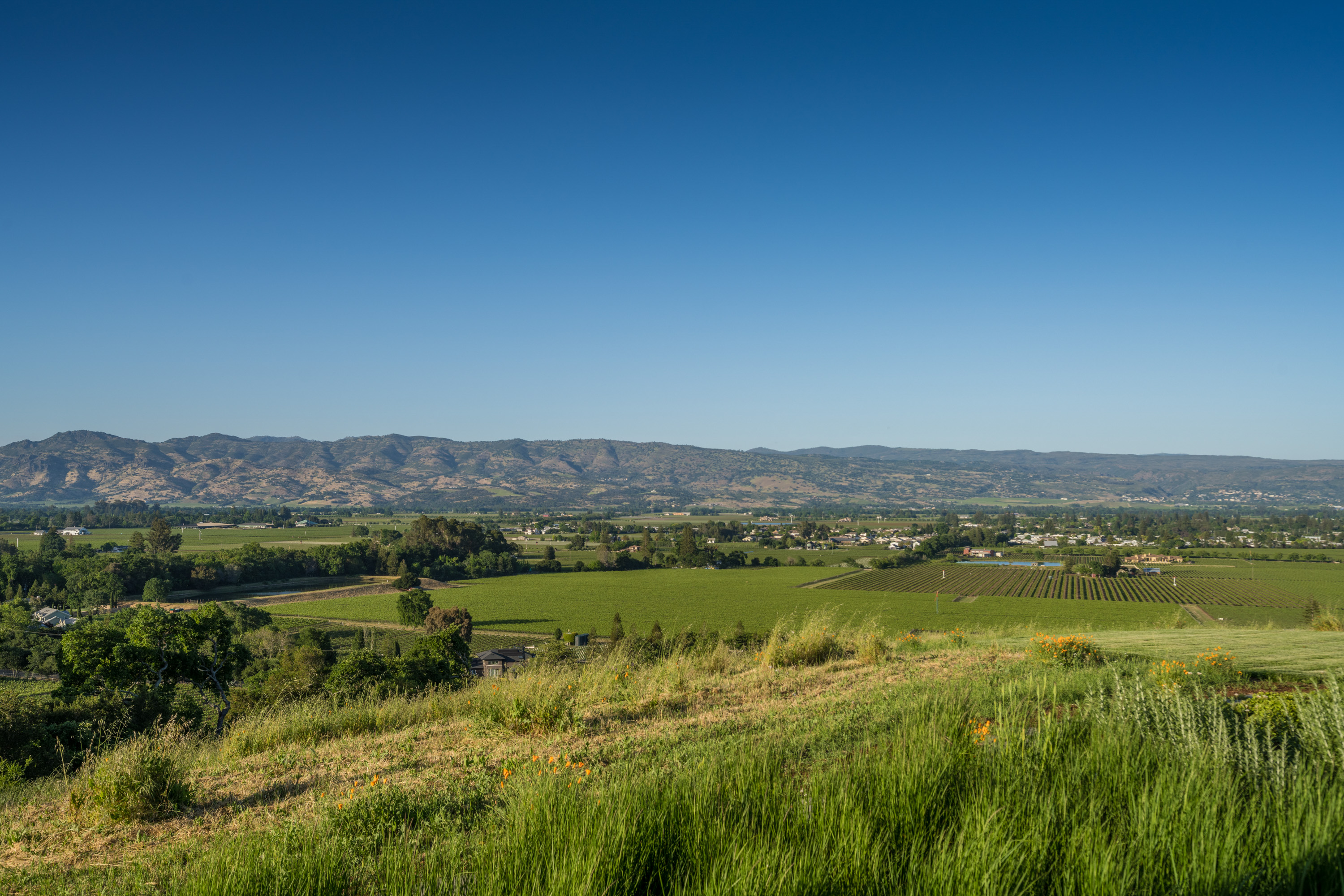  56-Acre Napa Valley Retreat - 物件實景