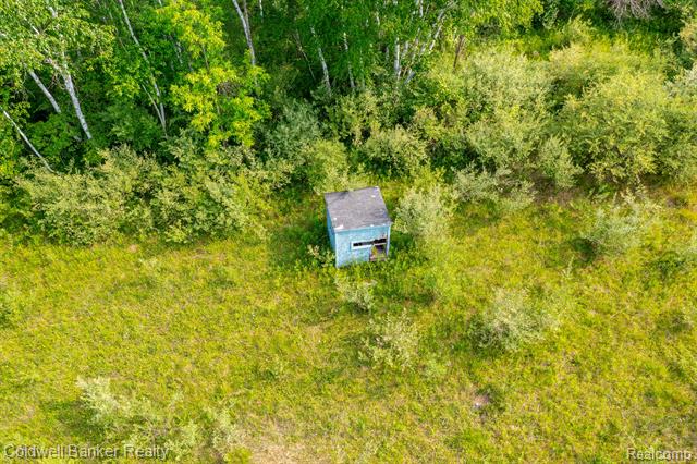 000 Willis Road, Burnside Twp, Michigan, 48416, United States, ,Land,For Sale,000 Willis Road,1288275