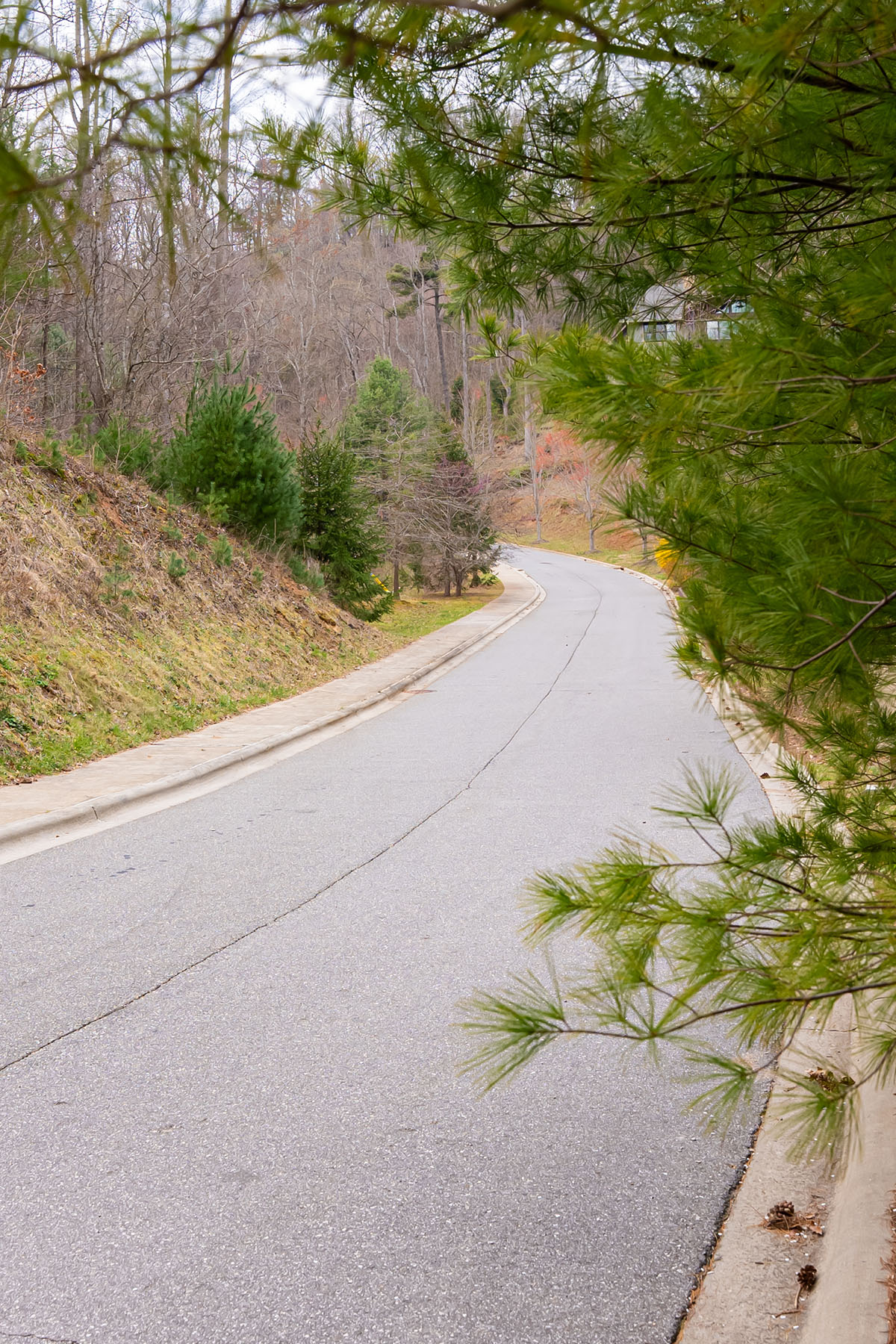  ASHEVILLE - 物件實景