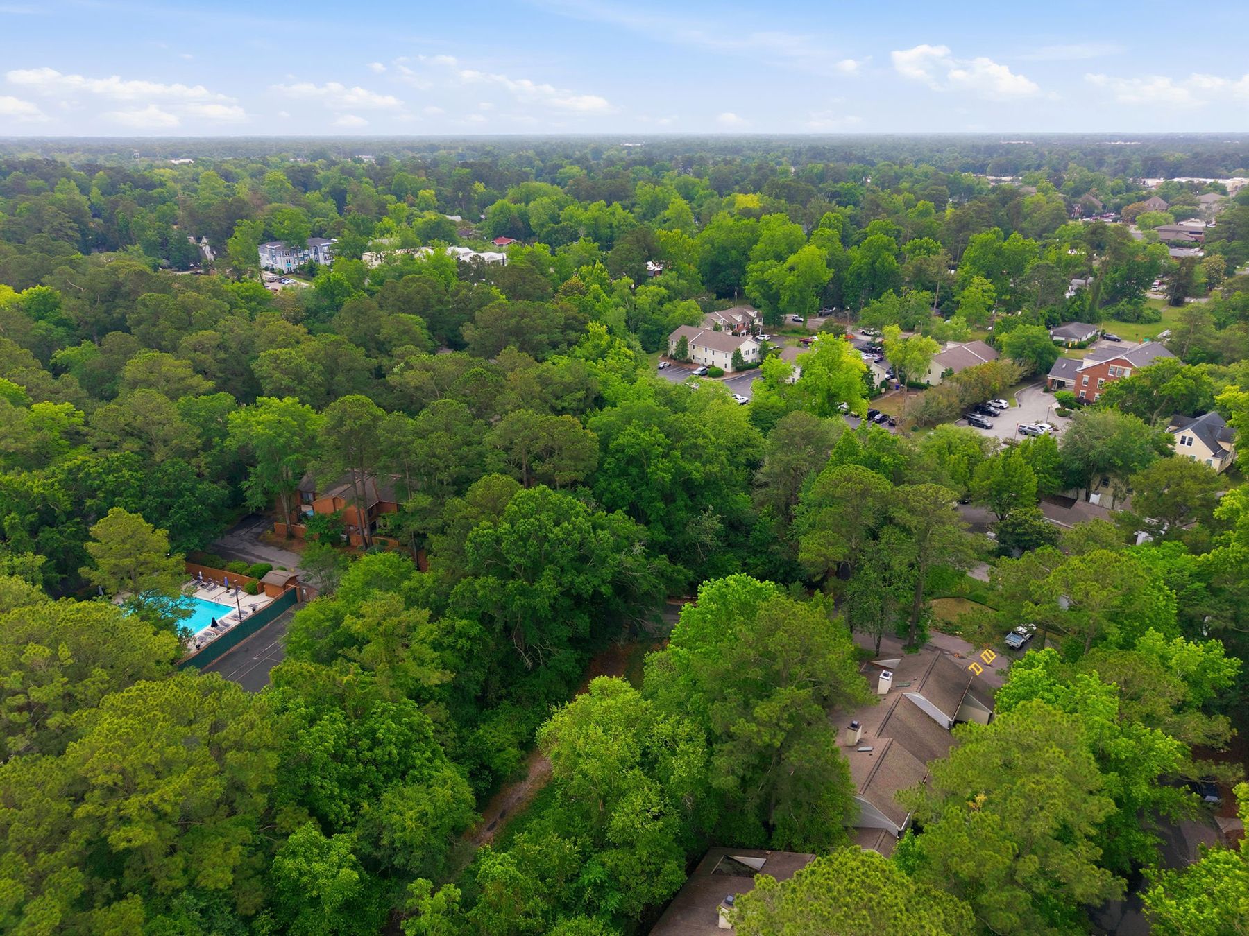  991 Birch Creek Drive, Wilmington, NC 28403 - 物件實景