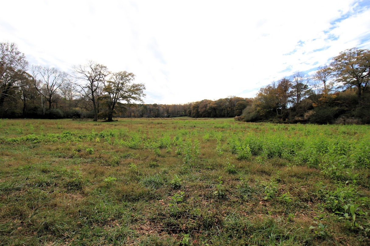 Bowdon, Georgia, 30108, United States, ,Land,For Sale,1989904