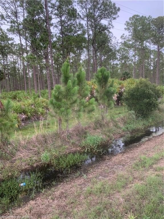 Venus, Florida, 33960, United States, ,Land,For Sale,1984372