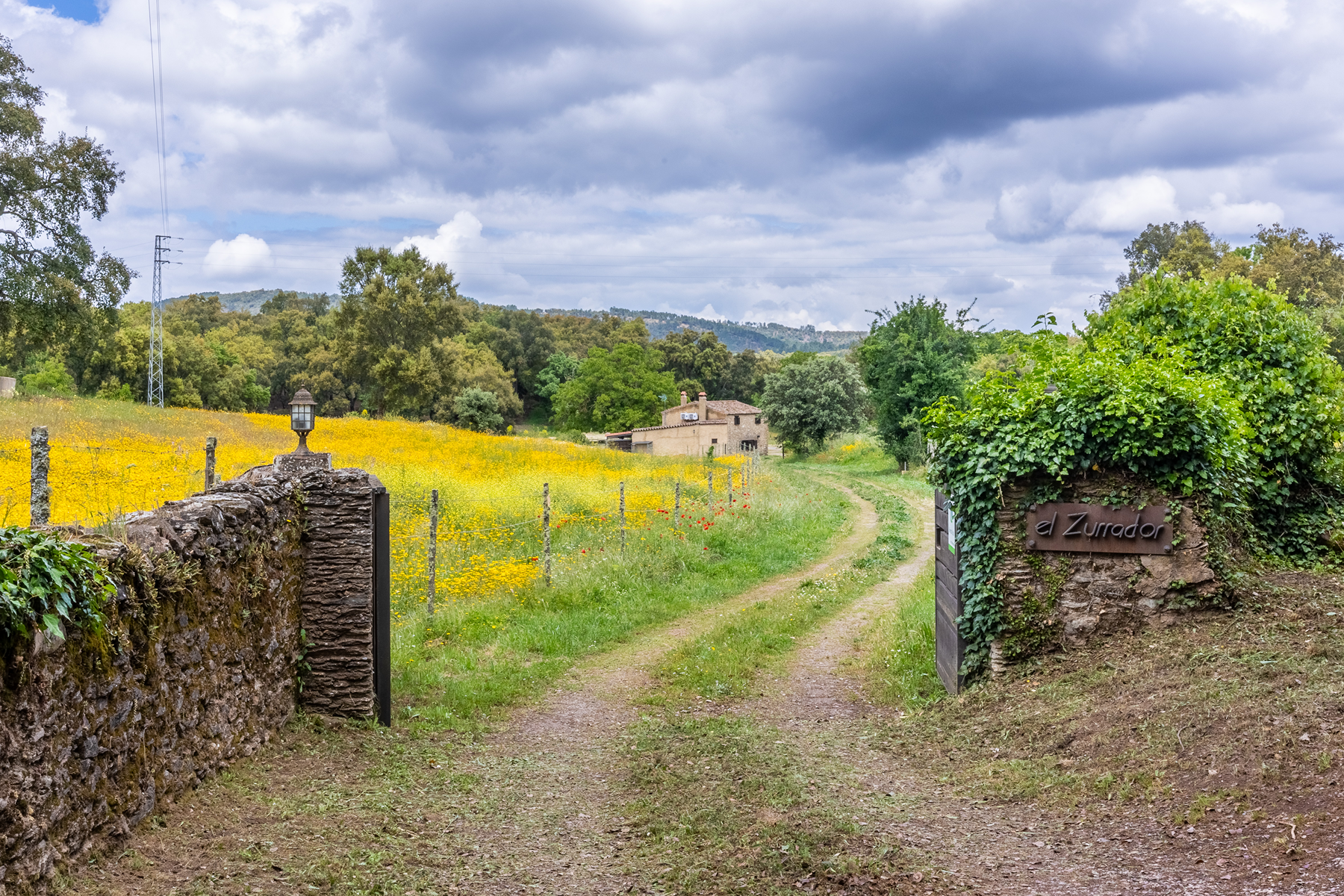  Cattle, equestrian, agricultural, and ecological farm in Aracena