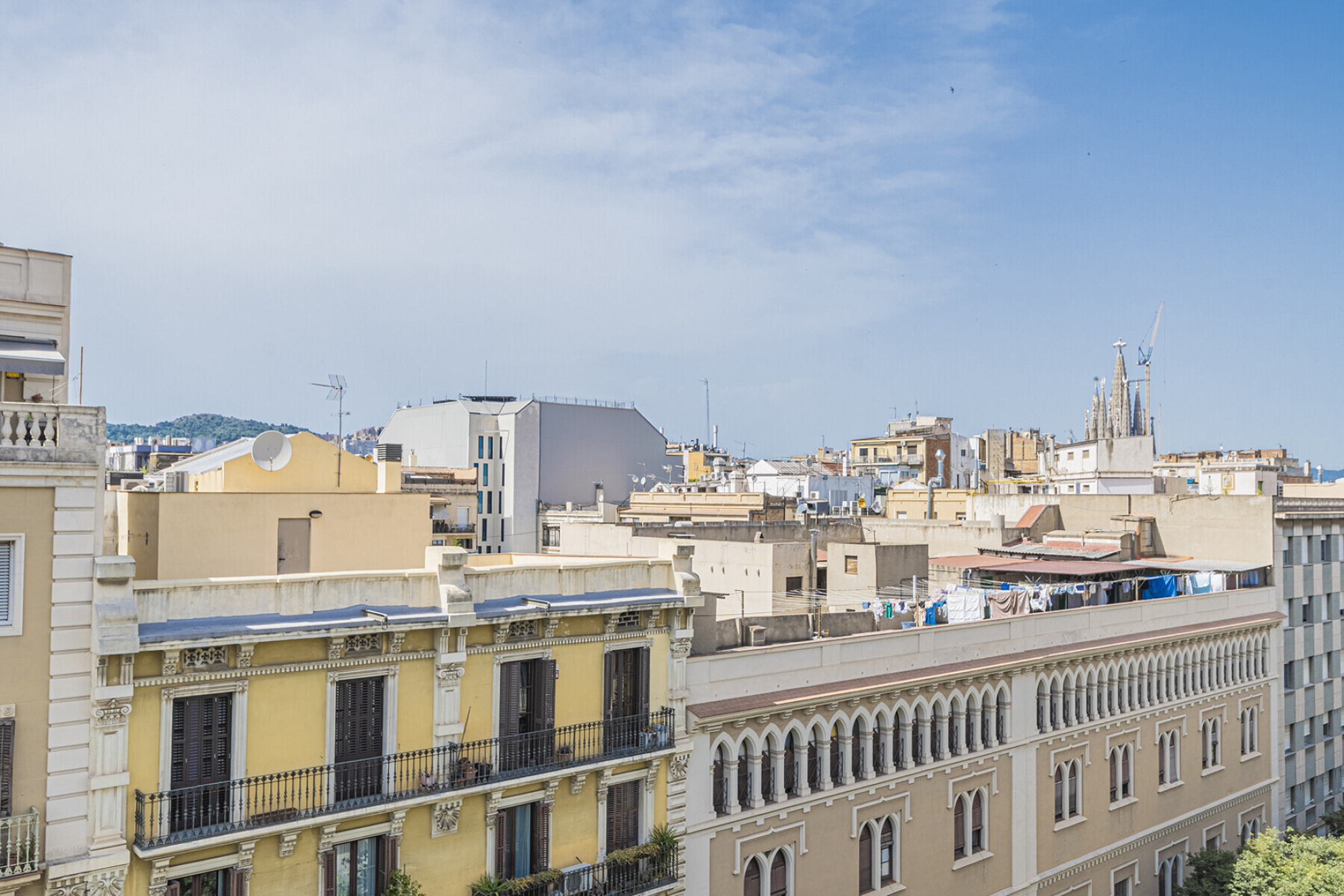  Consell de Cent Residences—a green oasis in the heart of the Eixample - 物件實景