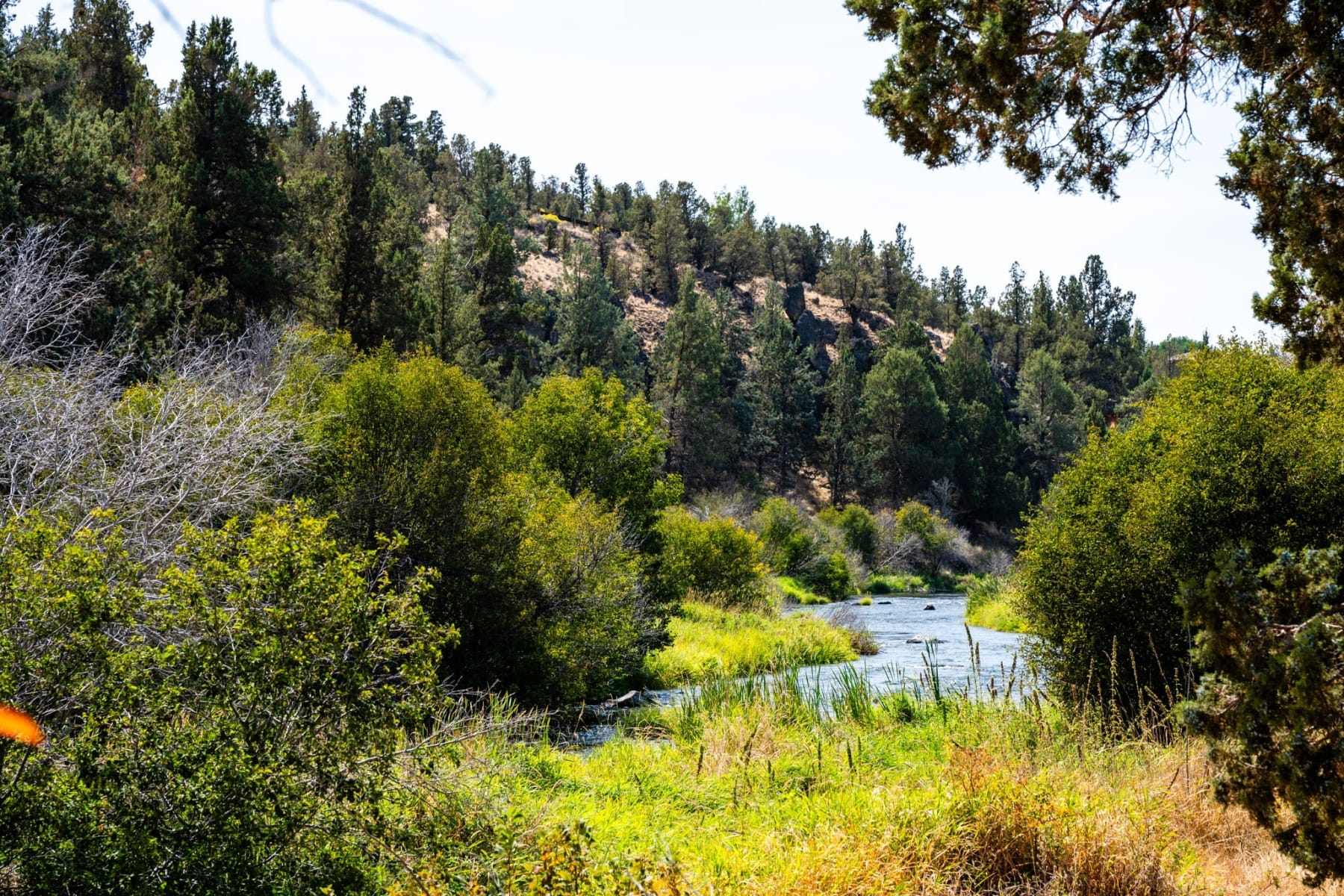  20361 Rock Canyon Road Bend, OR 97703 - 物件實景