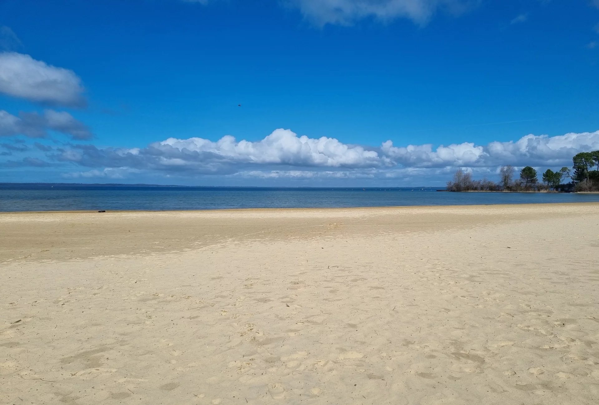 Biscarrosse, New Aquitaine, 40600, FR, 5 Bedrooms Bedrooms, ,8 BathroomsBathrooms,Residential,For Sale,1668952