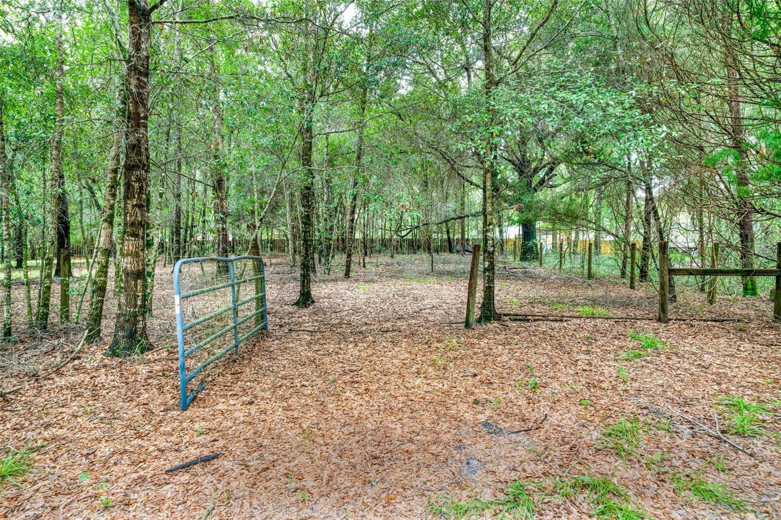 DUNNELLON, Florida, 34433, United States, 3 Bedrooms Bedrooms, ,2 BathroomsBathrooms,Residential,For Sale,1919933