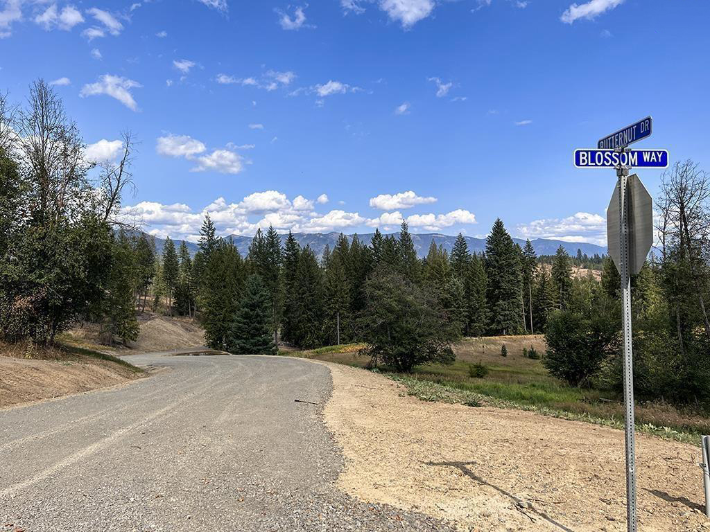 Sagle, Idaho, 83860, United States, ,Land,For Sale,1974286