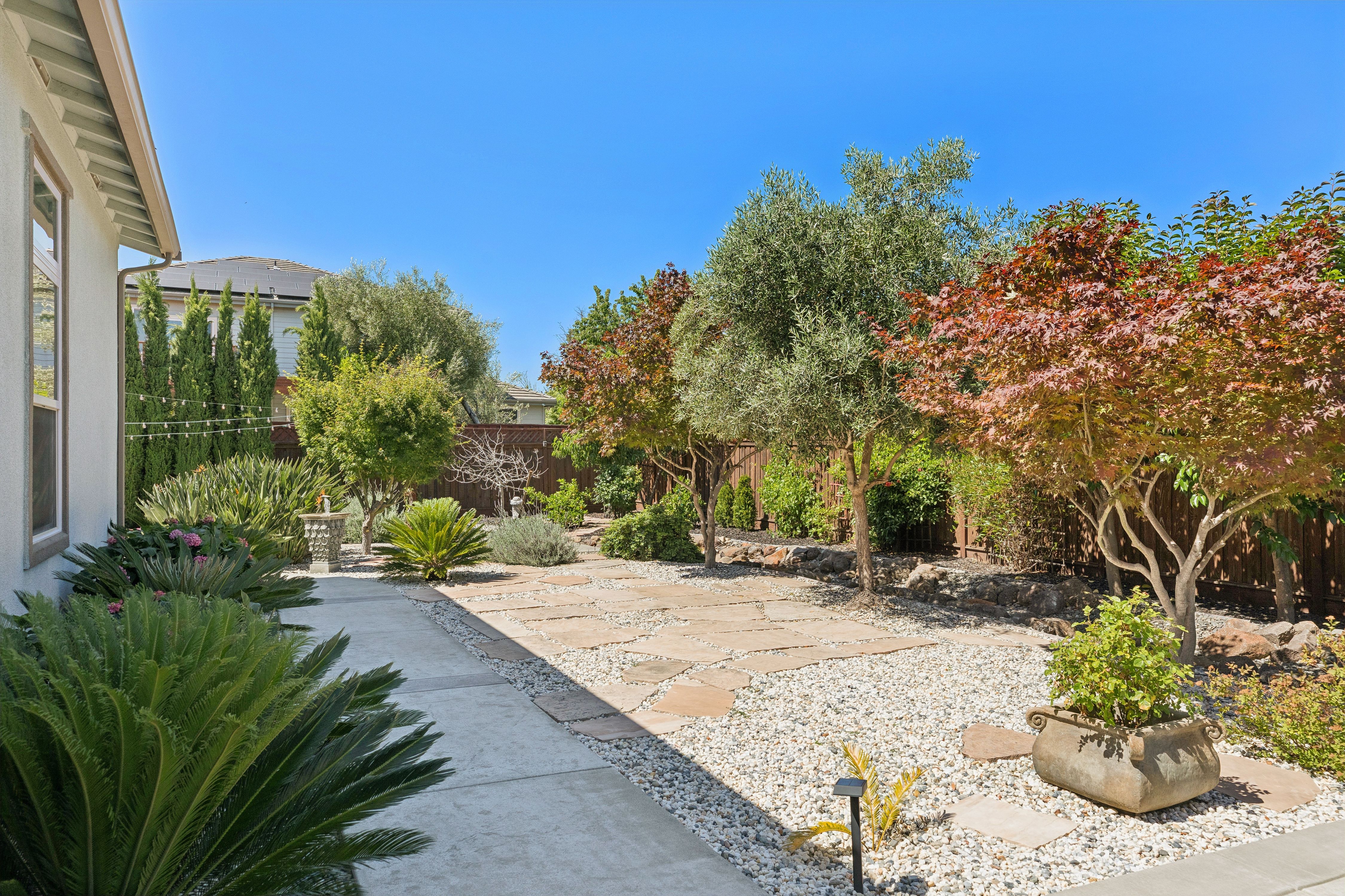  Mayacamas Vista Estates - 物件實景