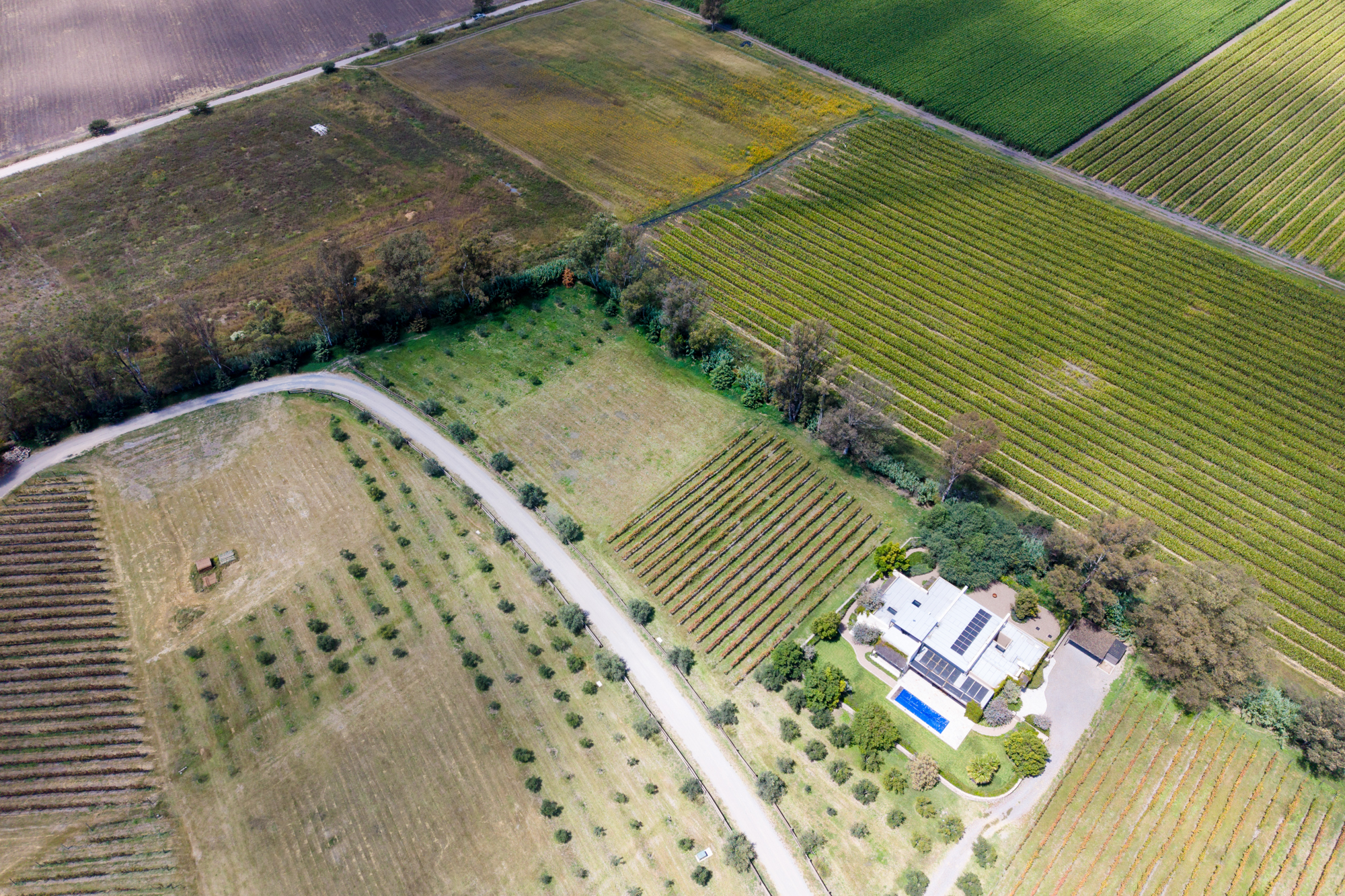  San Francisco Vineyards Lot 1 - 物件實景