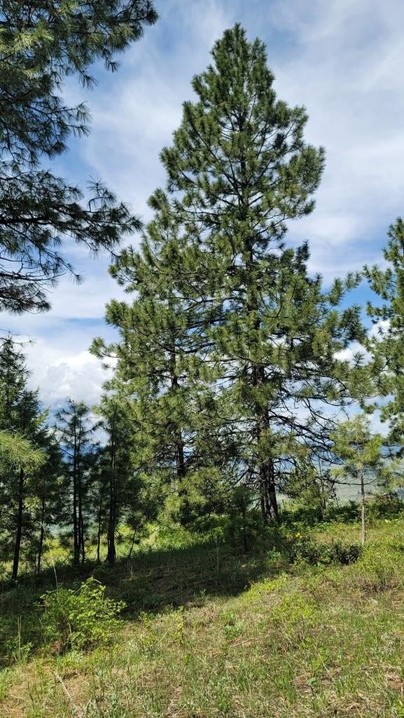 Council, Idaho, 83612, United States, 3 Bedrooms Bedrooms, ,2 BathroomsBathrooms,Residential,For Sale,1980798