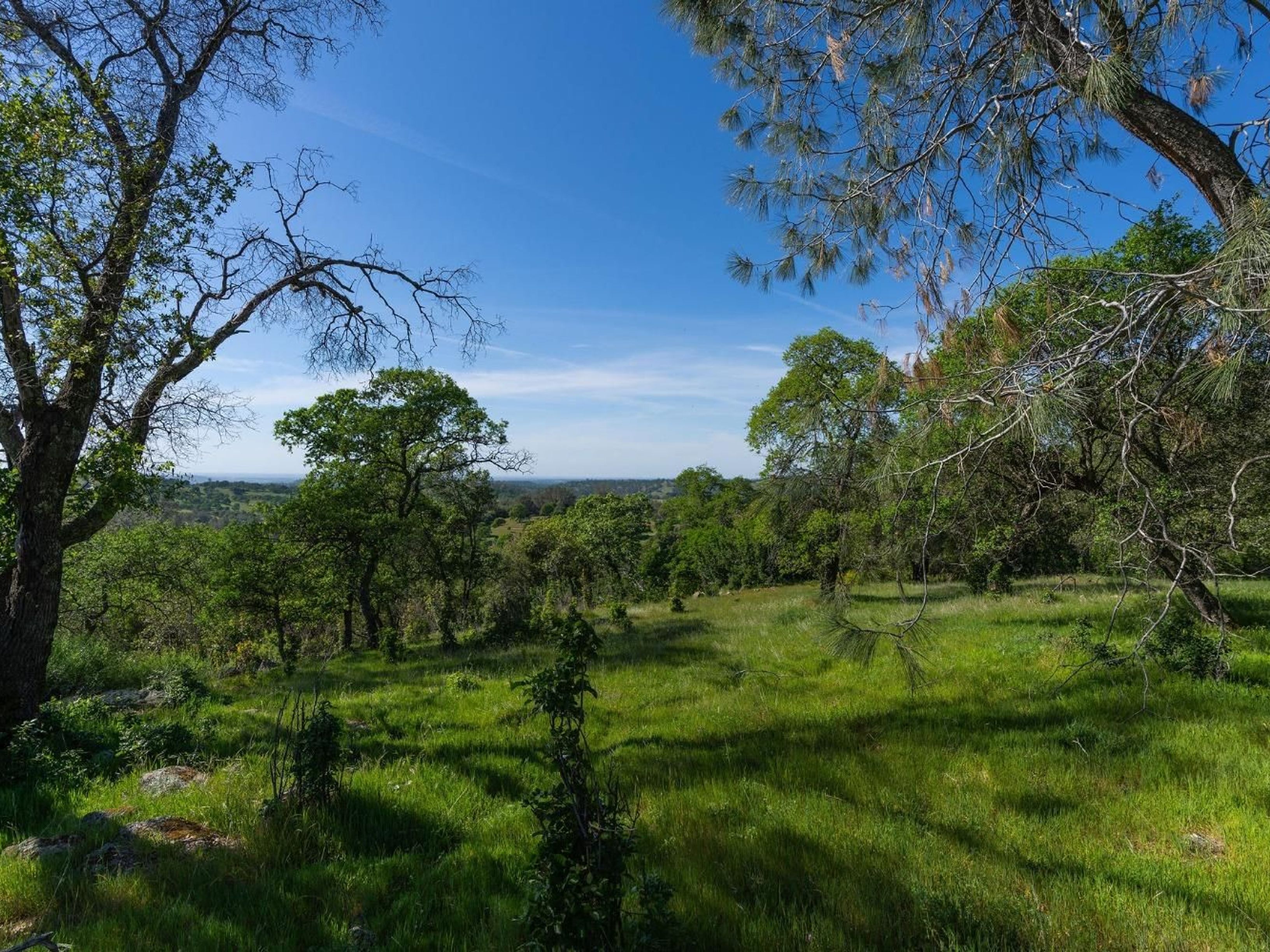  10865 Sunset Drive, Sutter Creek, CA 95685 - 物件實景