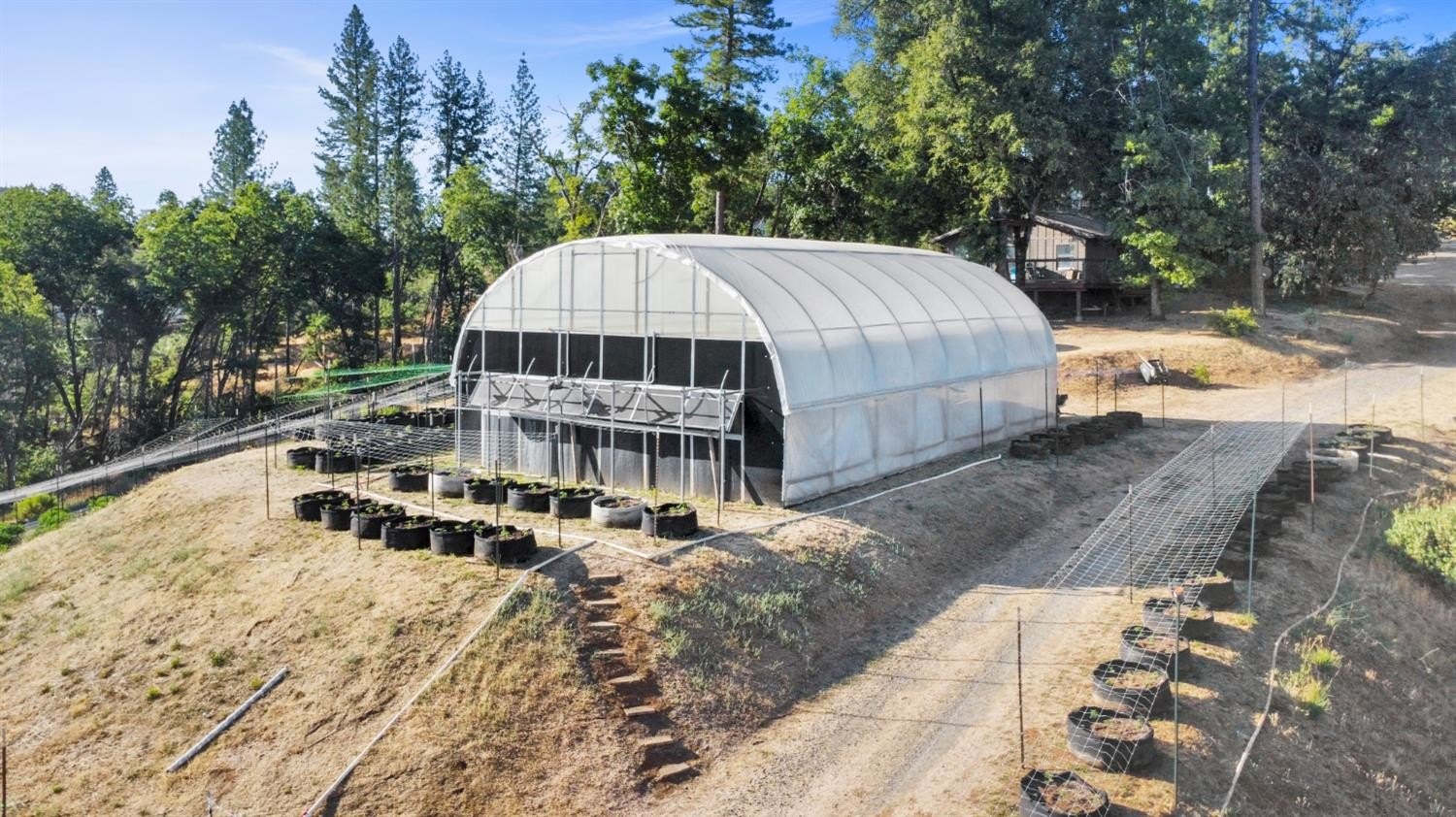 Mountain Ranch, California, 95246, United States, ,Land,For Sale,1981446