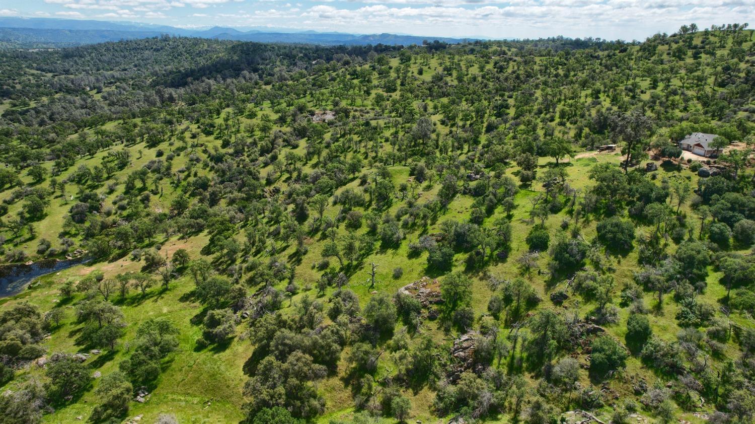 Coarsegold, California, 93614, United States, 3 Bedrooms Bedrooms, ,2 BathroomsBathrooms,Residential,For Sale,2006317