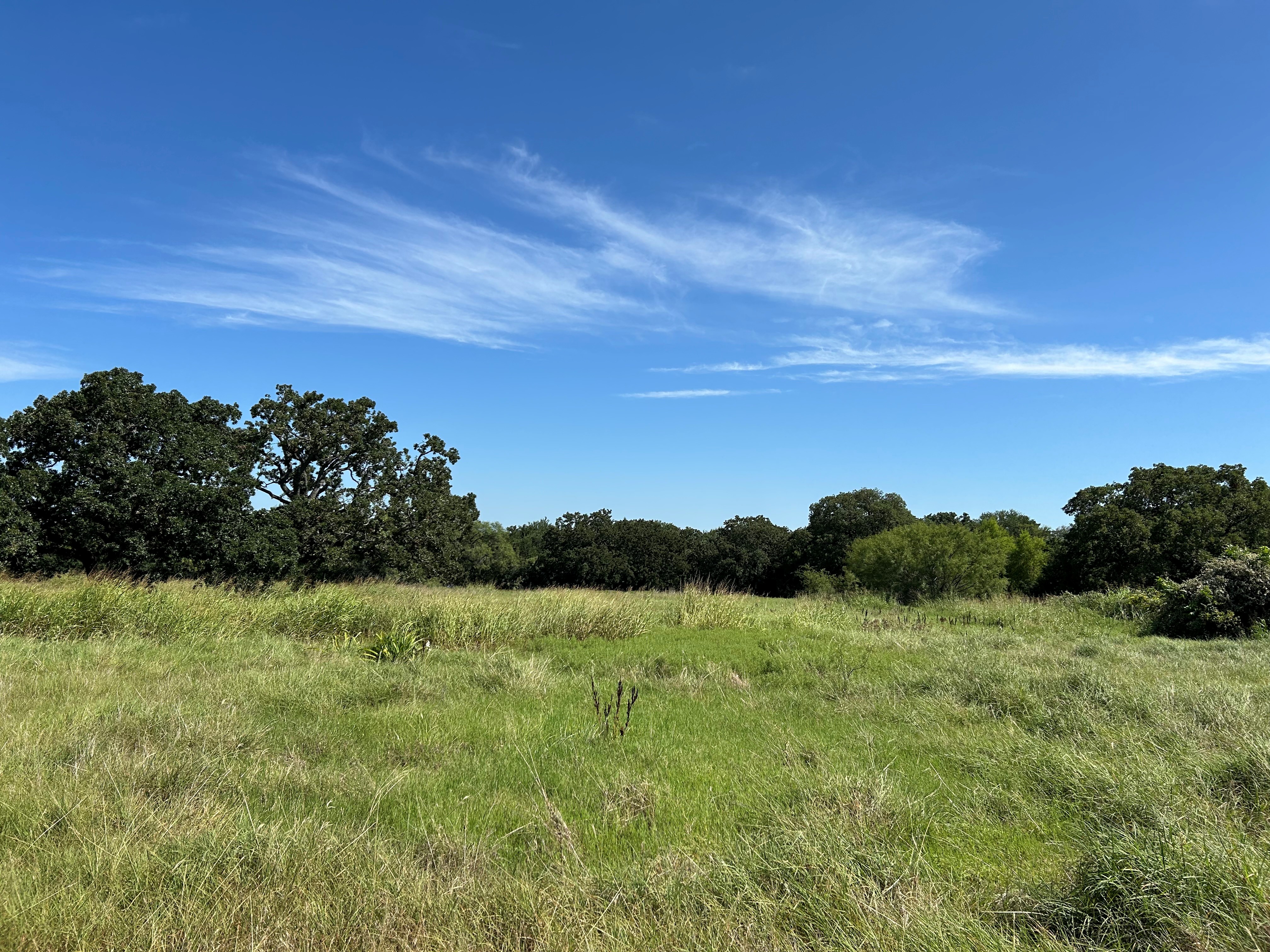Bridgeport, Texas, 76426, United States, ,Land,For Sale,1982225