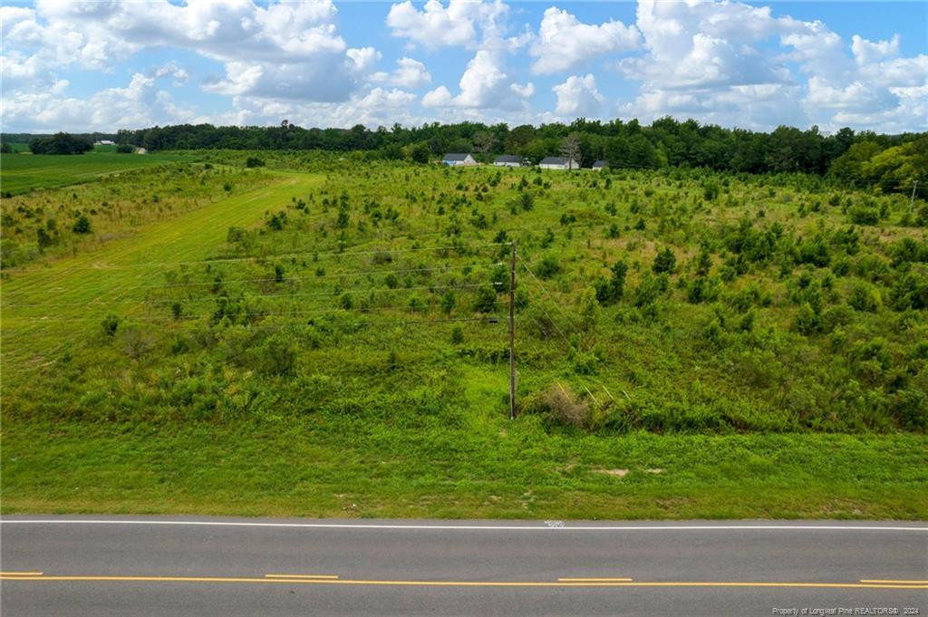 Wallace Mclean Road, Raeford, North Carolina, 28376, United States, ,Land,For Sale,Wallace Mclean Road,1660610