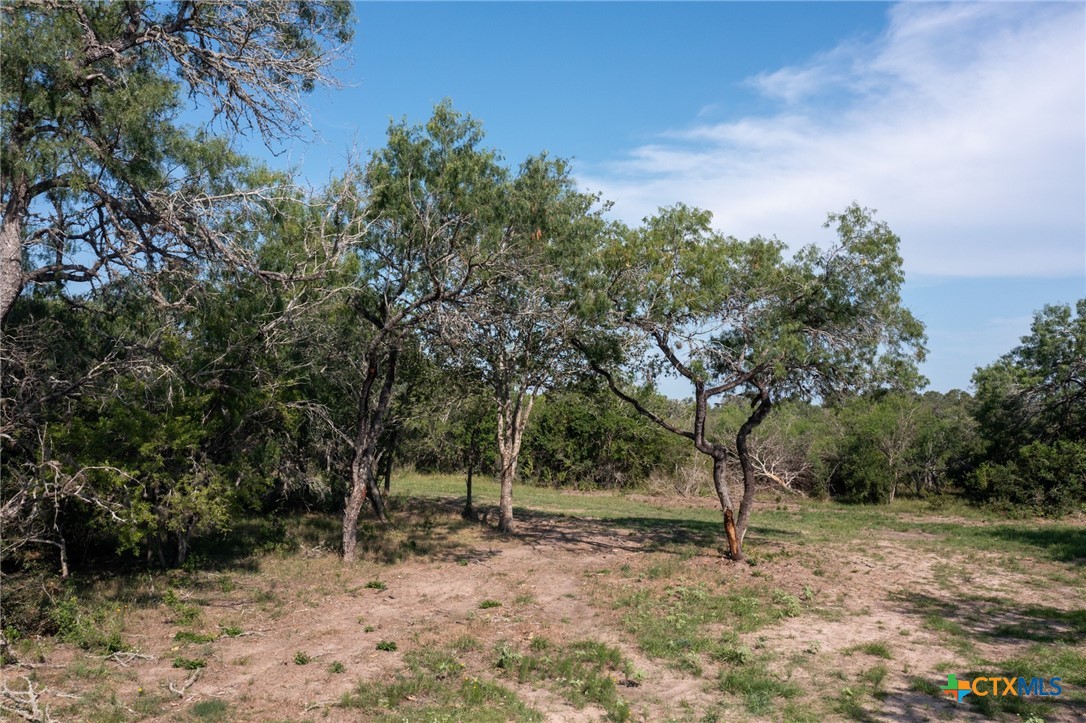 Yorktown, Texas, 78164, United States, ,Land,For Sale,1858167