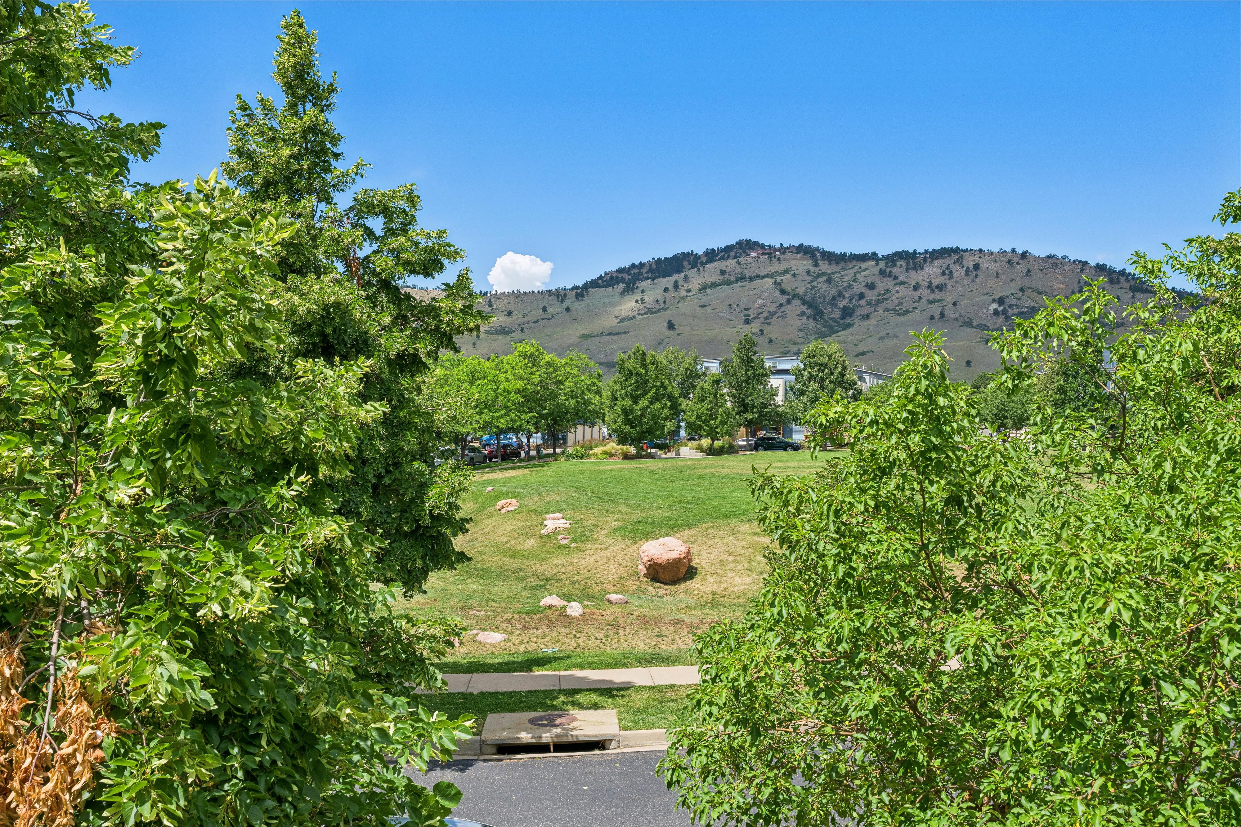  Incredible location on a quiet street overlooking Holiday Park - 物件實景