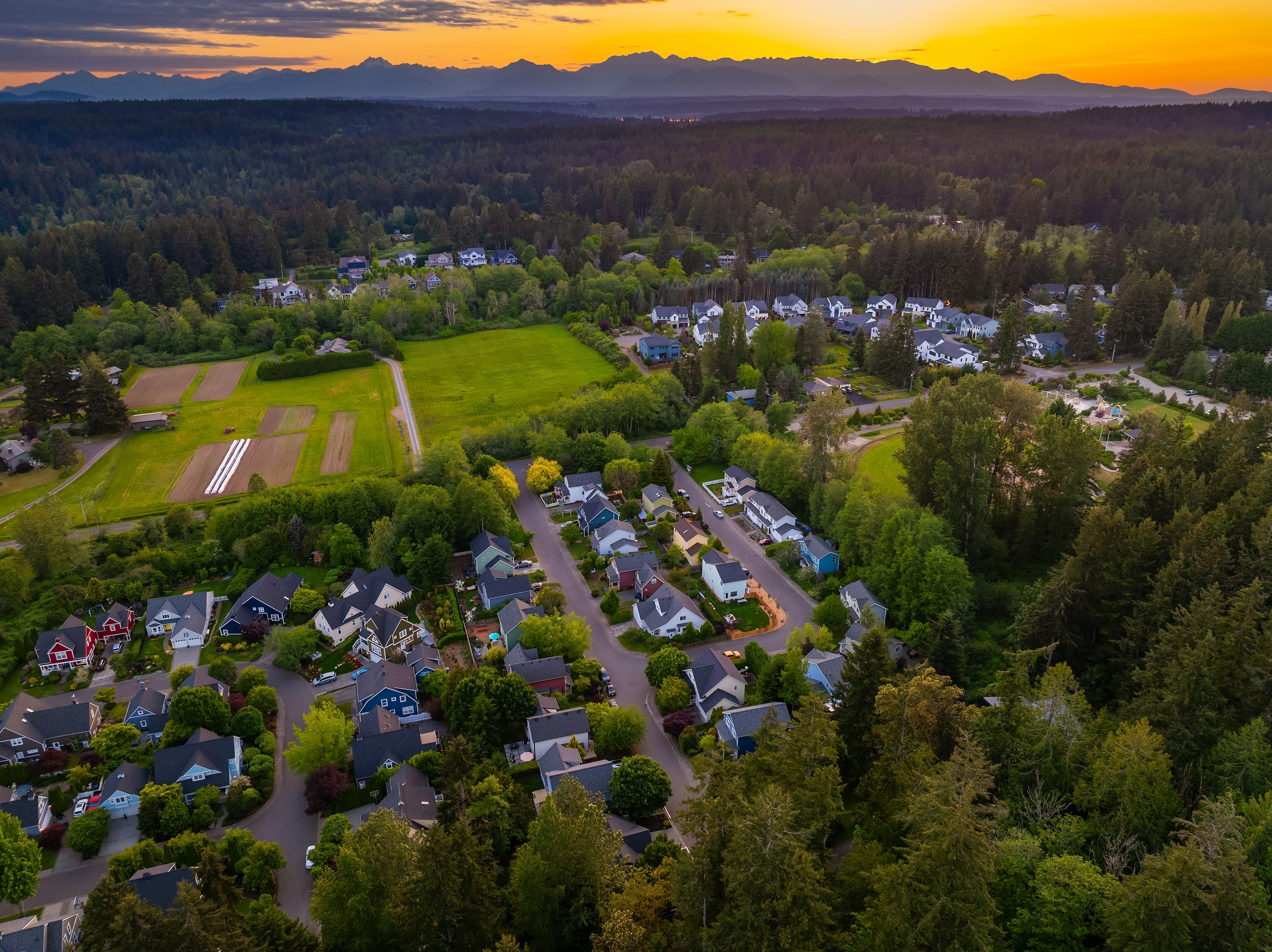  705 Moji Lane NW, Bainbridge Island, WA 98110 - 物件實景