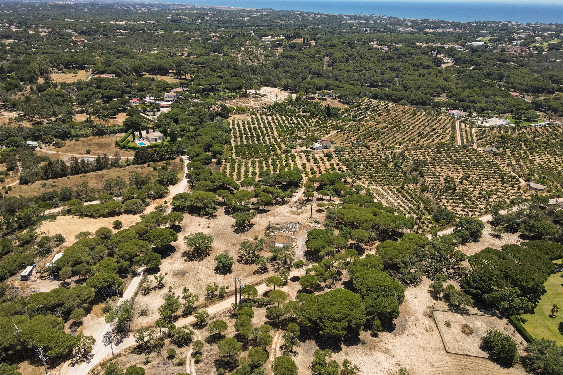  Stand, 25 bedrooms, for Sale - 物件實景