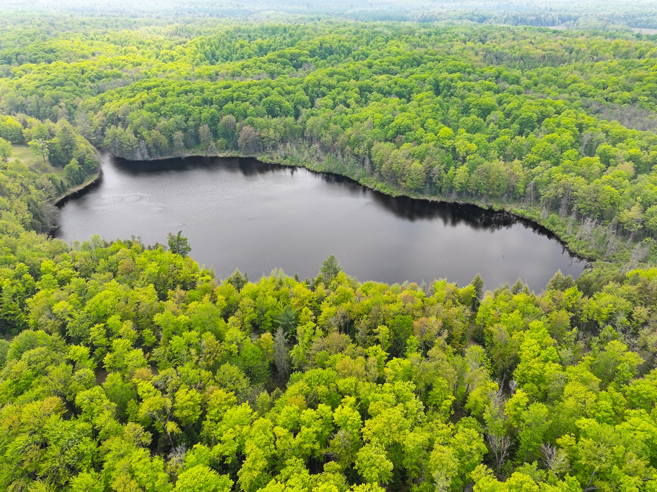 Oma, Wisconsin, 54534, United States, ,Residential,For Sale,1920346