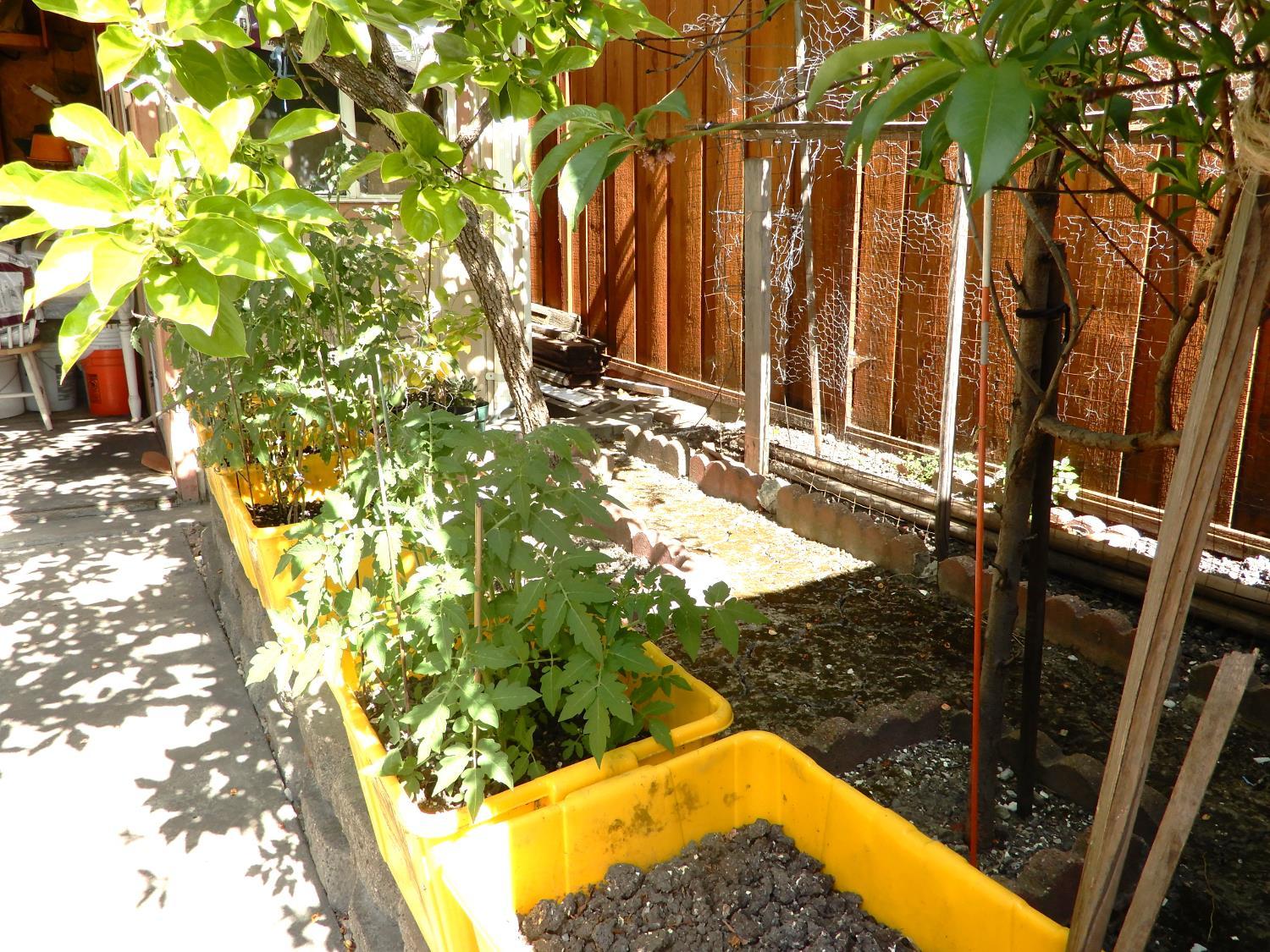 San Jose, California, 95116, United States, 4 Bedrooms Bedrooms, ,3 BathroomsBathrooms,Residential,For Sale,2038368