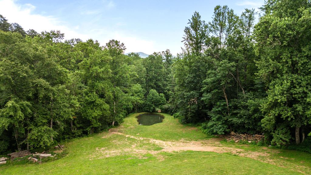 Hayesville, North Carolina, 28904, United States, 4 Bedrooms Bedrooms, ,2 BathroomsBathrooms,Residential,For Sale,1871296