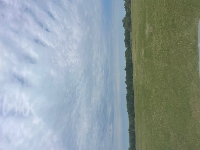 Holland, Texas, 76534, United States, ,Residential,For Sale,1994334