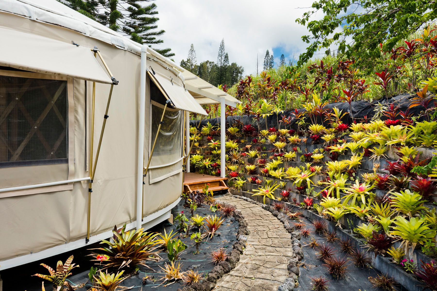  35-1655 Maulua Nui Rd, Papaaloa, HI, 96780 - 物件實景