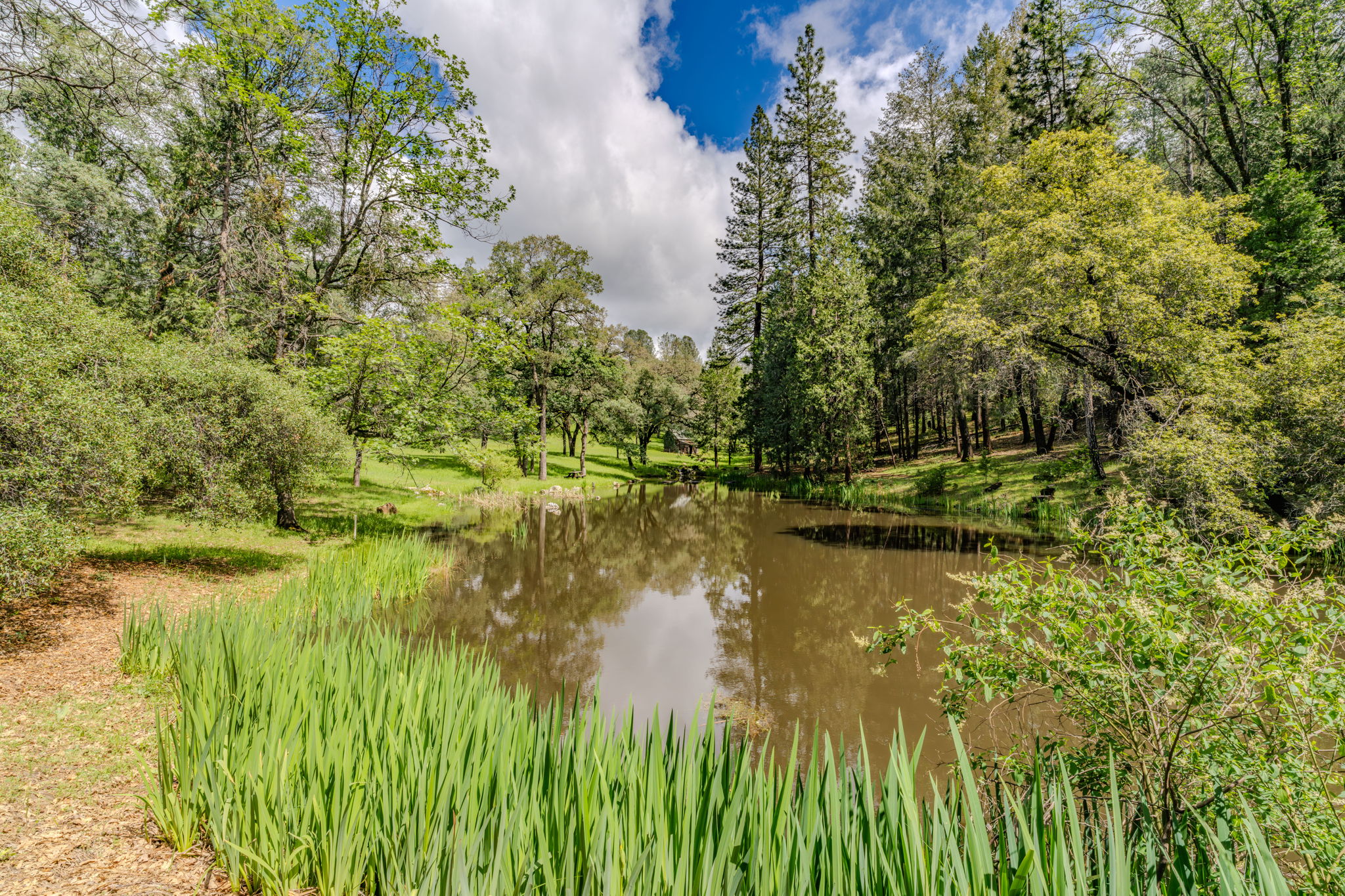  19351 Fiddletown Road, Fiddletown, CA 95629 - 物件實景