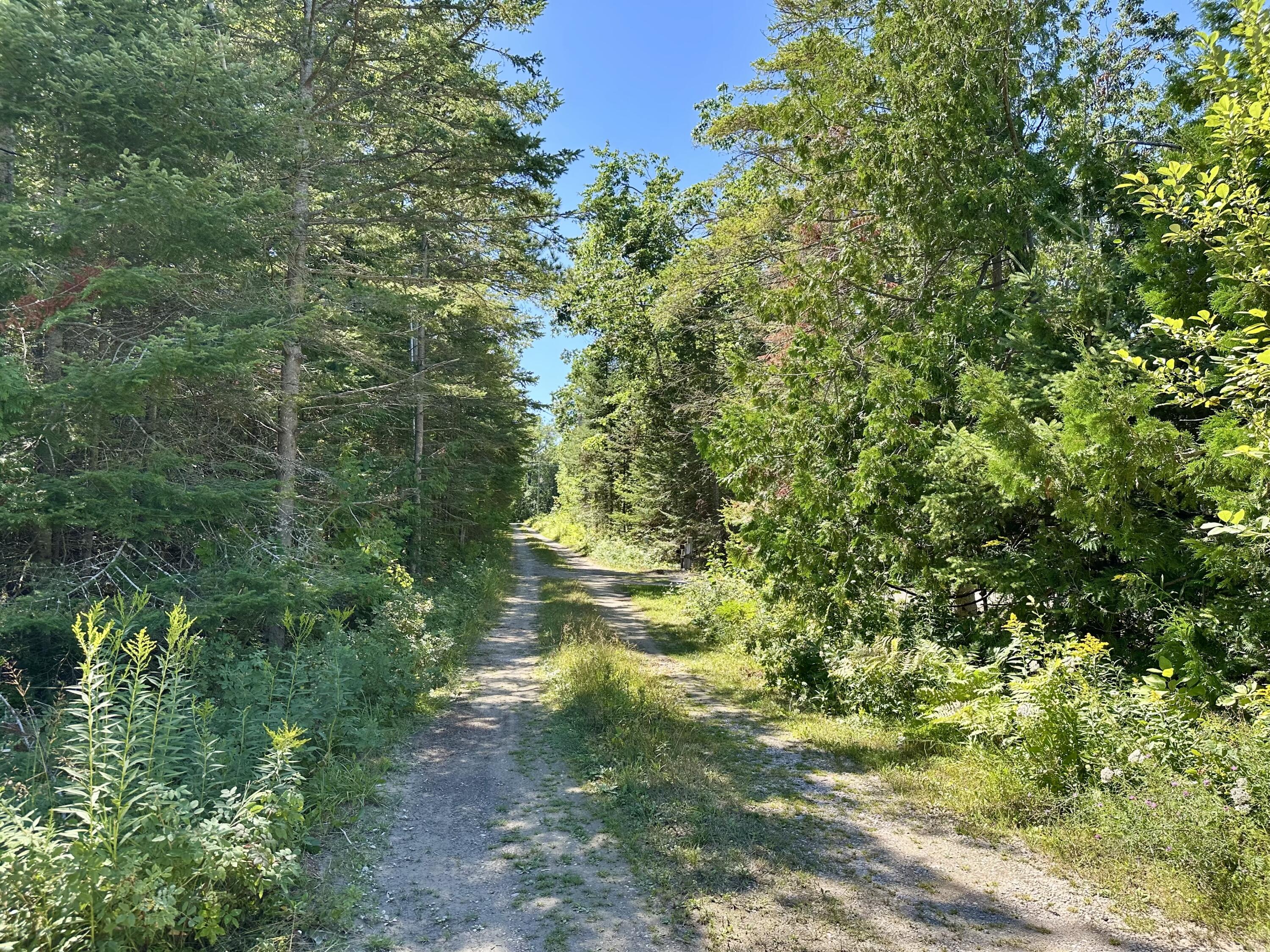 Ocqueoc, Michigan, 49759, United States, 2 Bedrooms Bedrooms, ,2 BathroomsBathrooms,Residential,For Sale,1925983