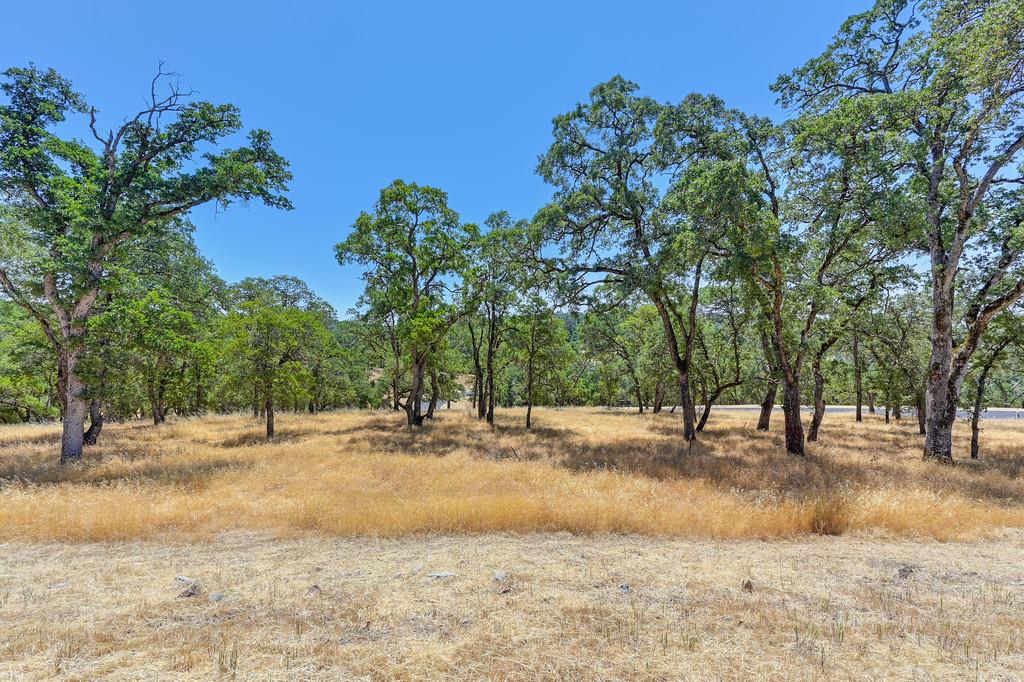 El Dorado Hills, California, 95762, United States, ,Land,For Sale,1874458