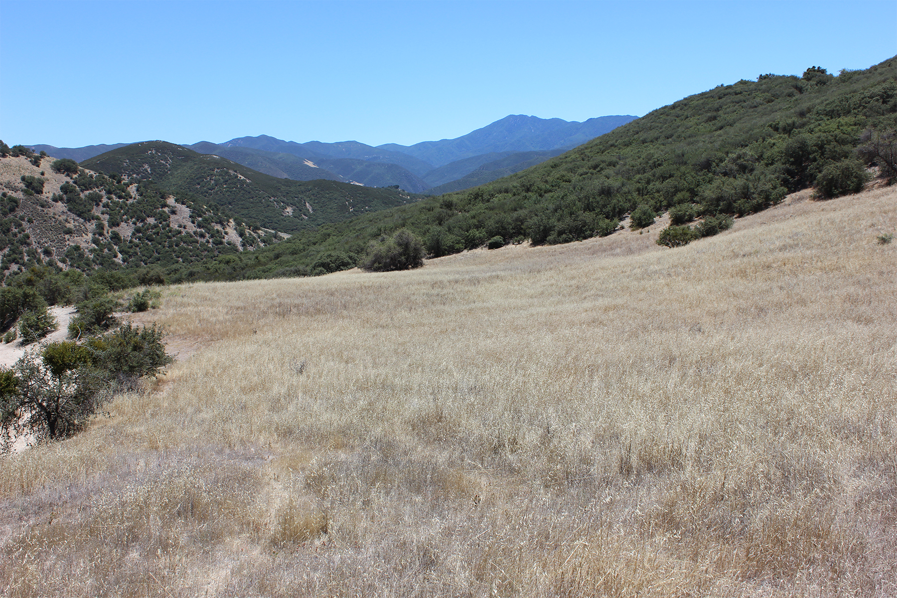  0 East Carmel Valley Road - 物件實景