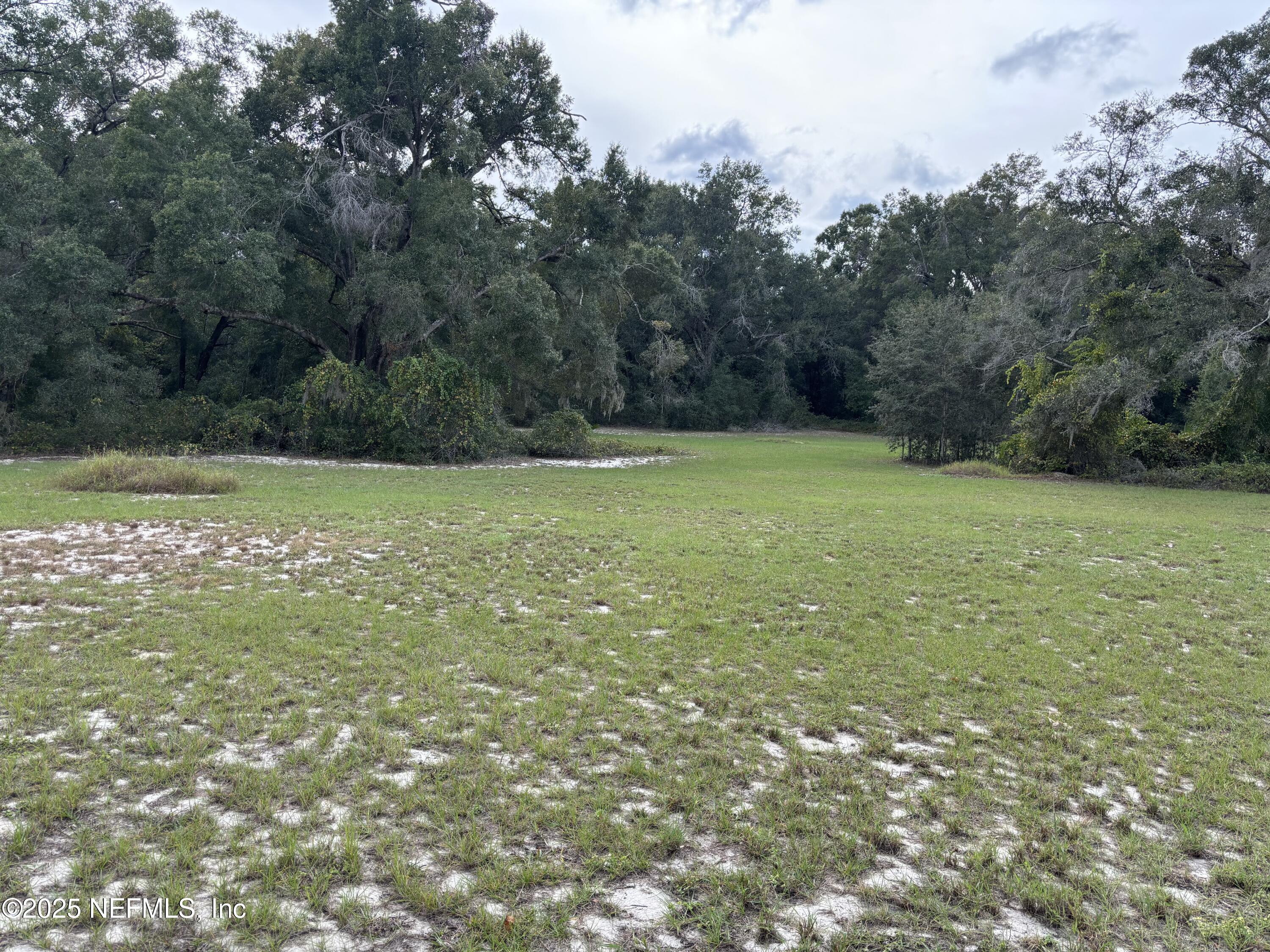 Apopka, Florida, 32712, United States, ,Land,For Sale,1993065