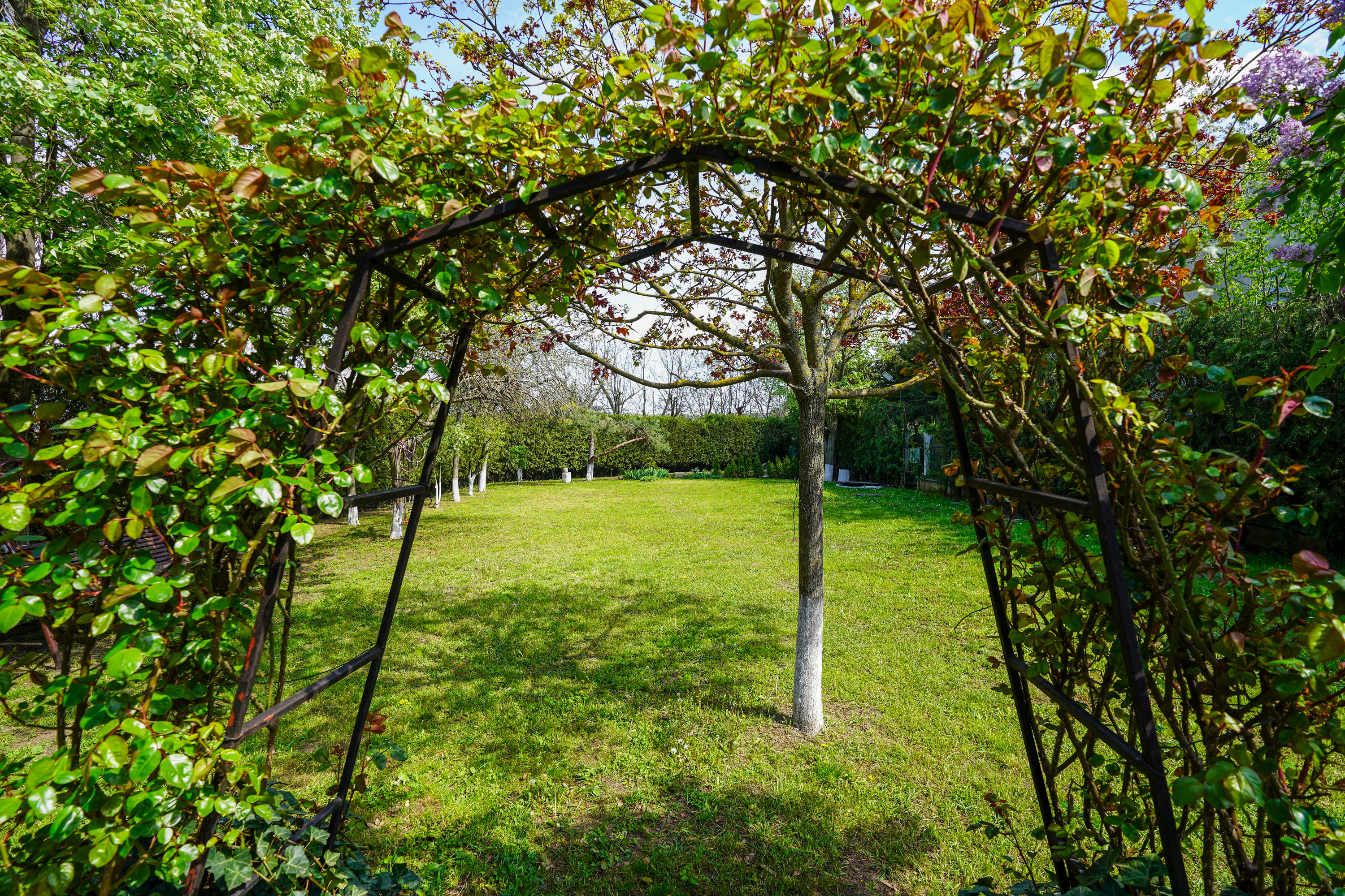  Luxury Villa in a Prime Educational Hub, Pipera - 物件實景