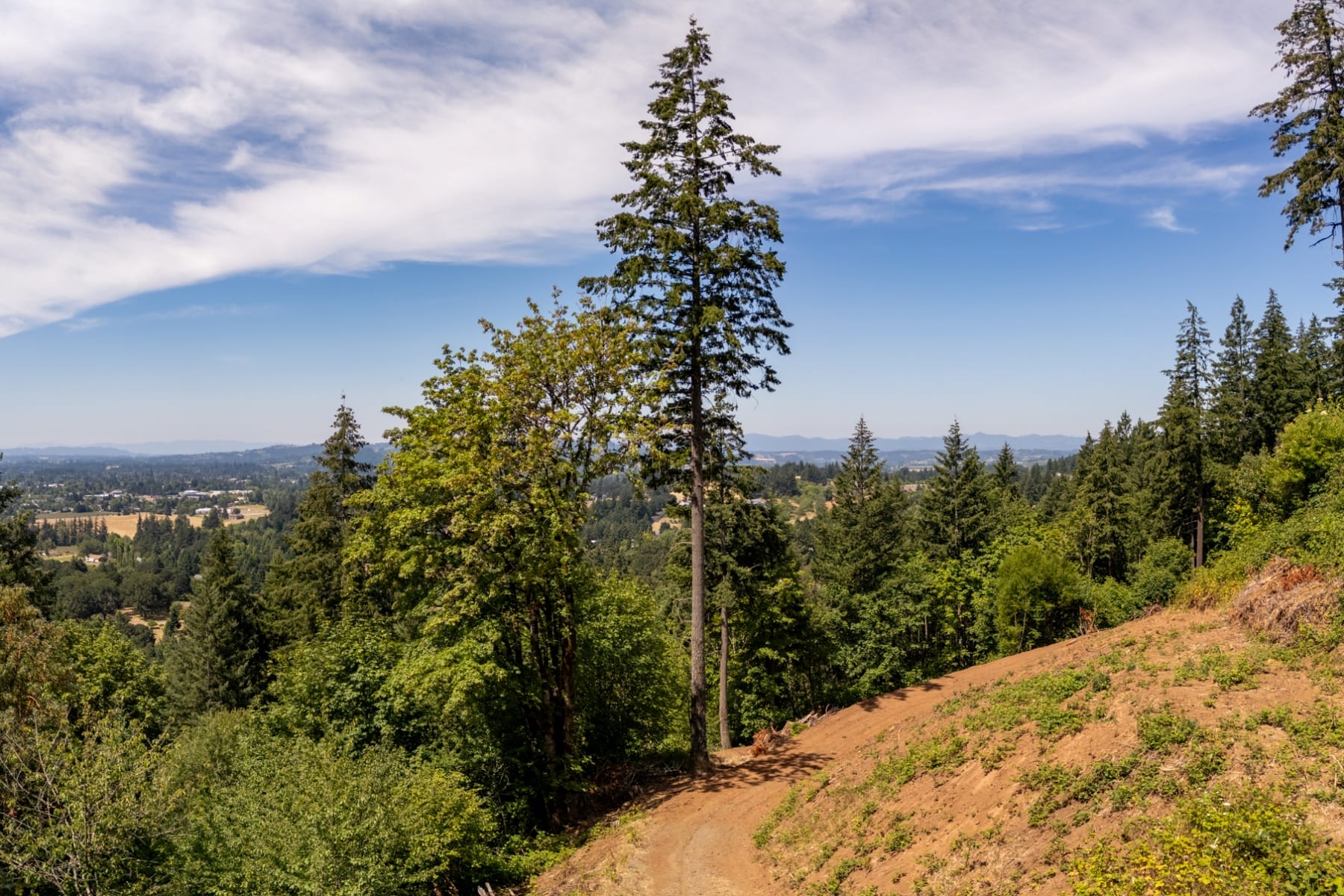  30540 NE BELL RD Newberg, OR 97132 - 物件實景